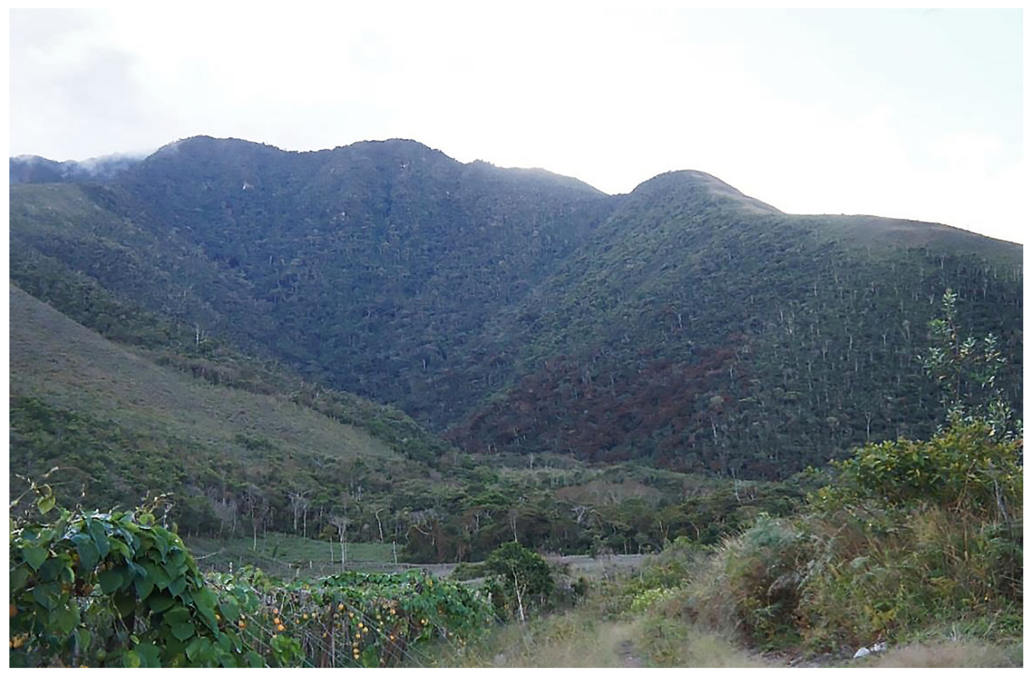 Diversity 12 00361 g008