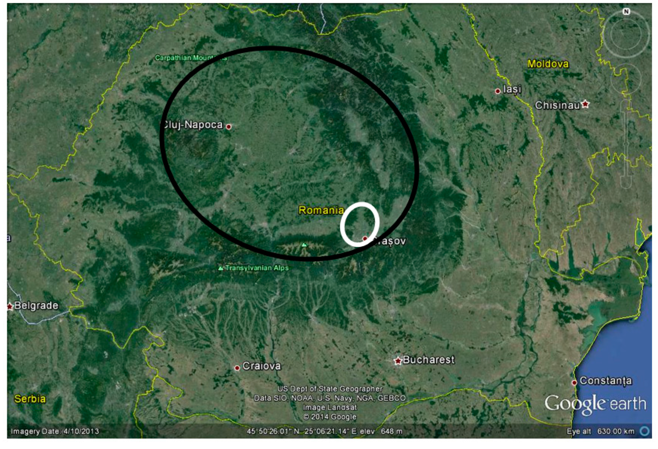 Diversity 12 00371 g001