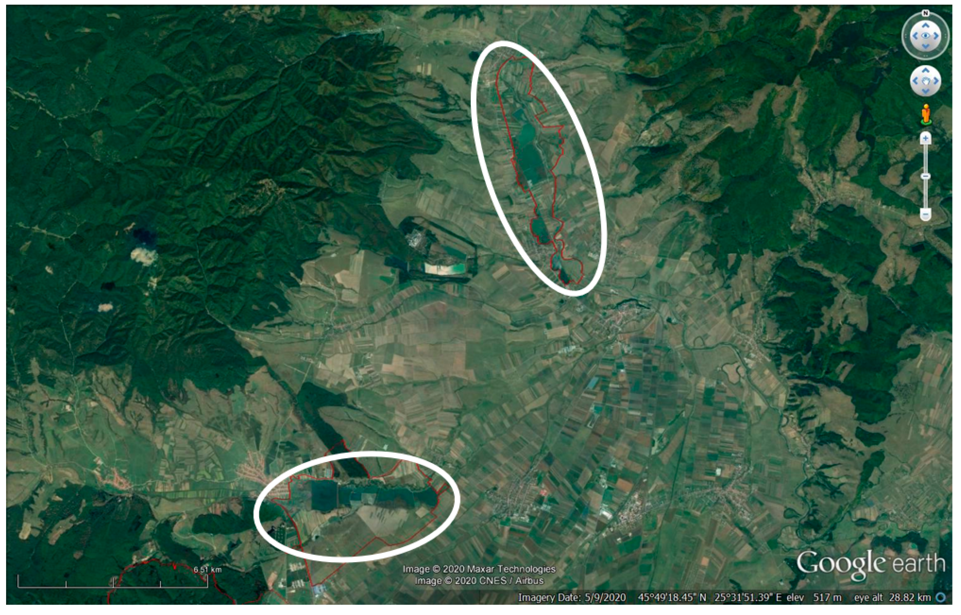 Diversity 12 00371 g002