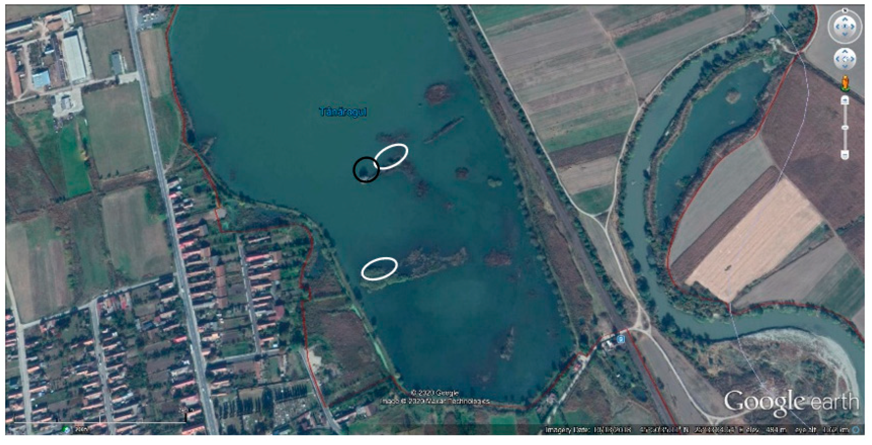 Diversity 12 00371 g003