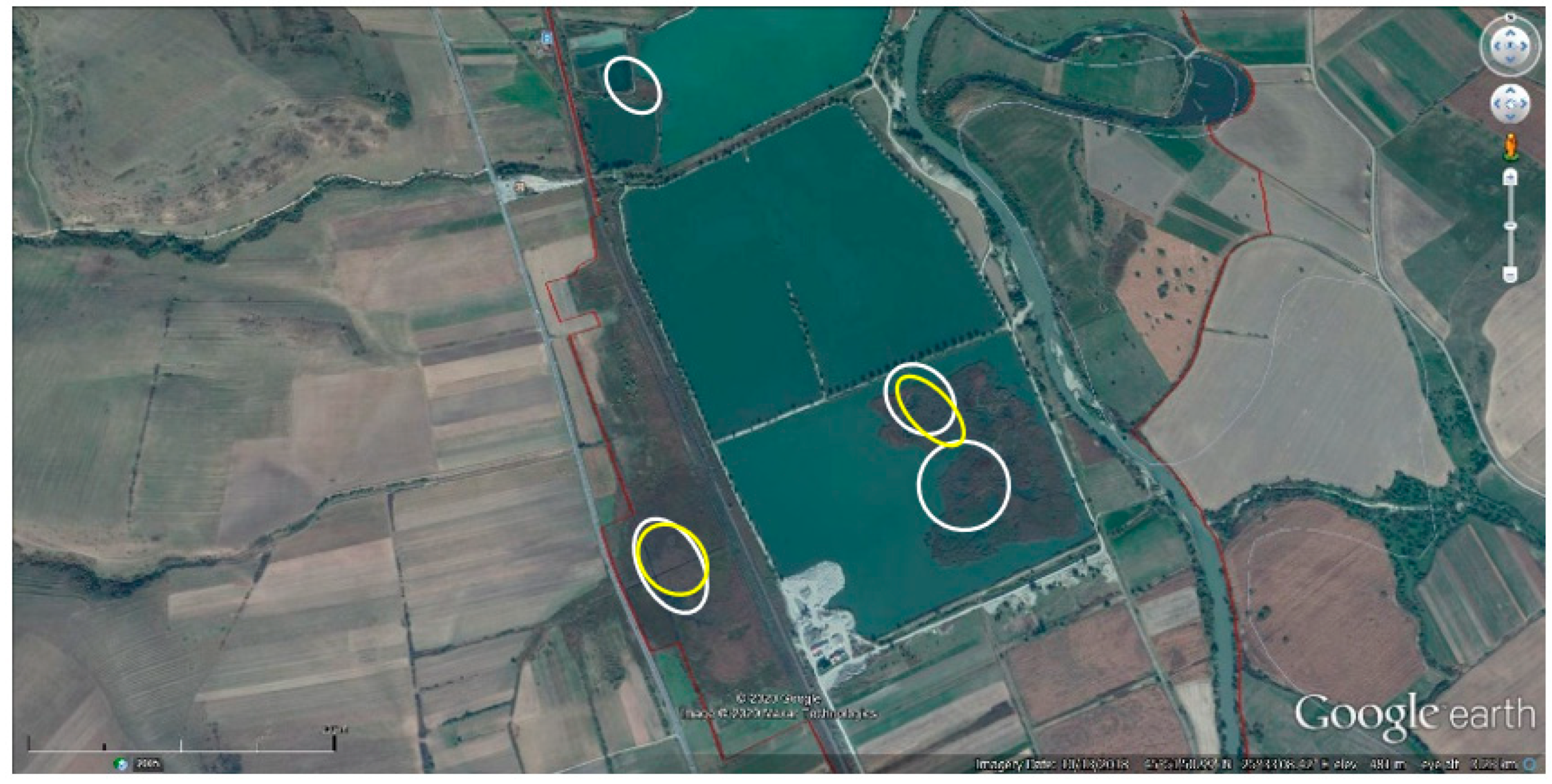 Diversity 12 00371 g004