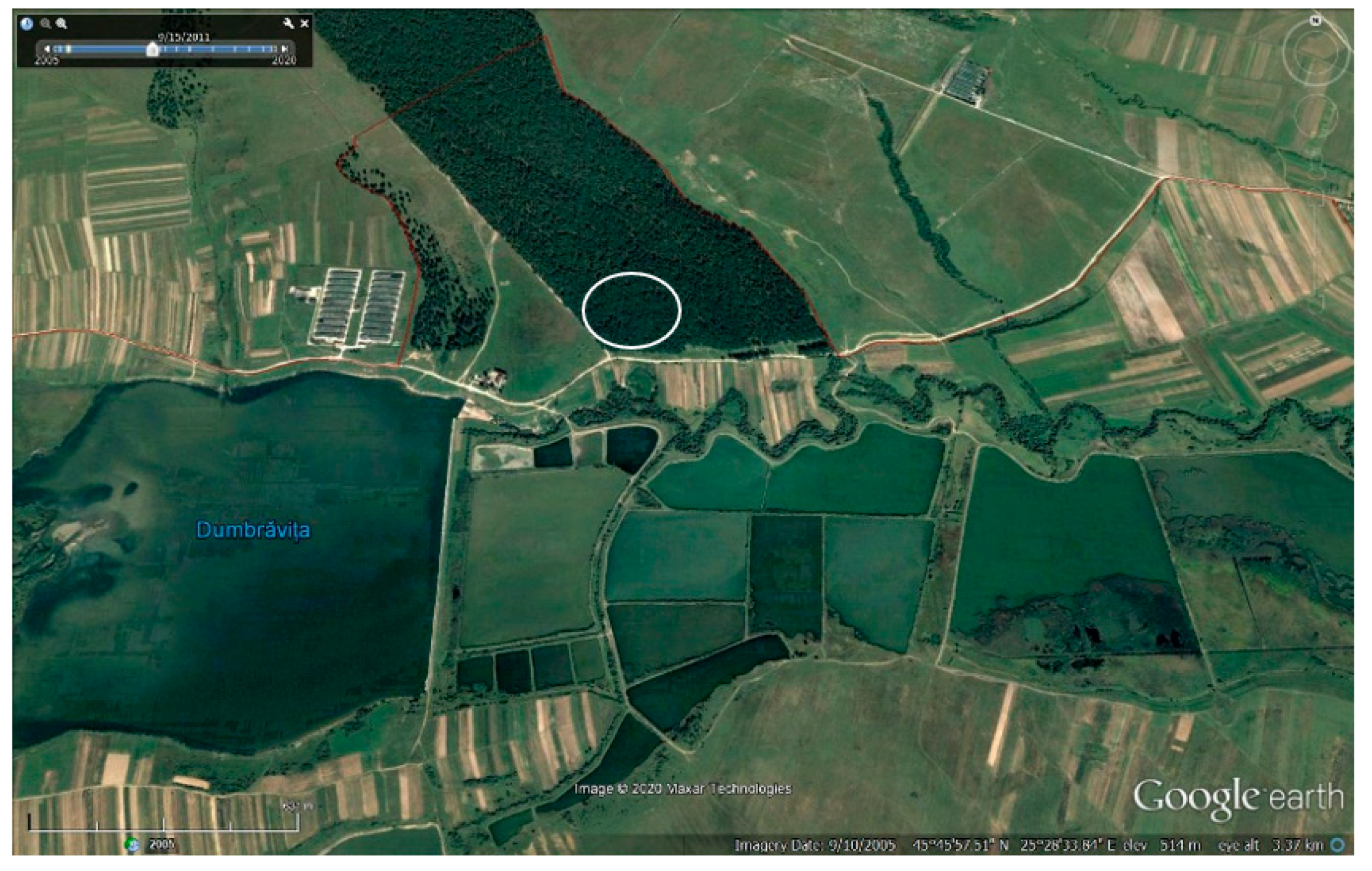 Diversity 12 00371 g008