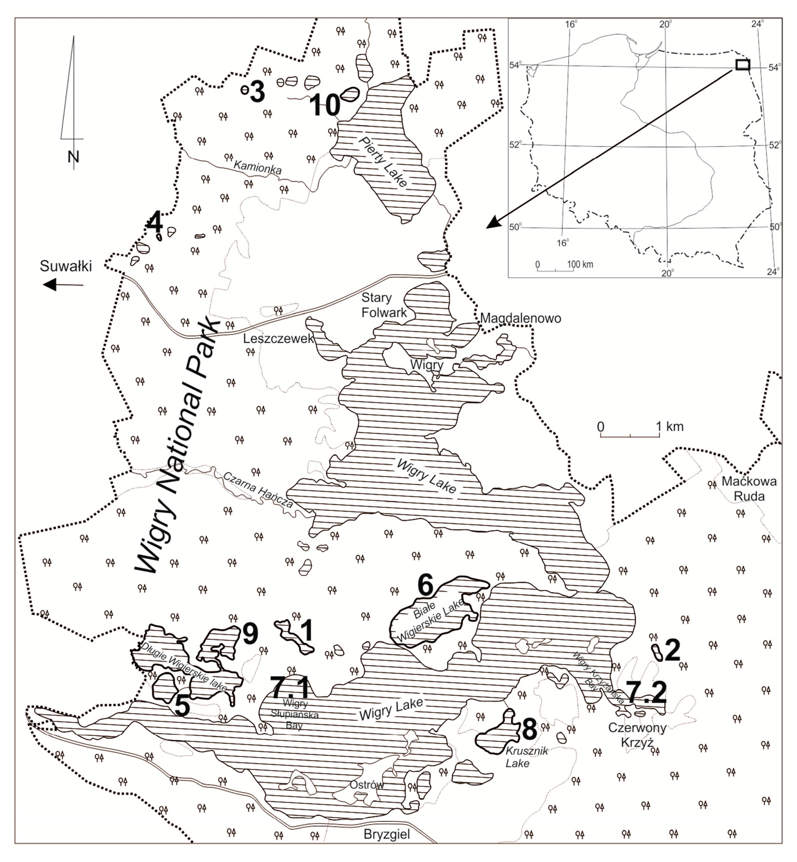 Diversity 12 00374 g001 Diversity 12 00374 g001
