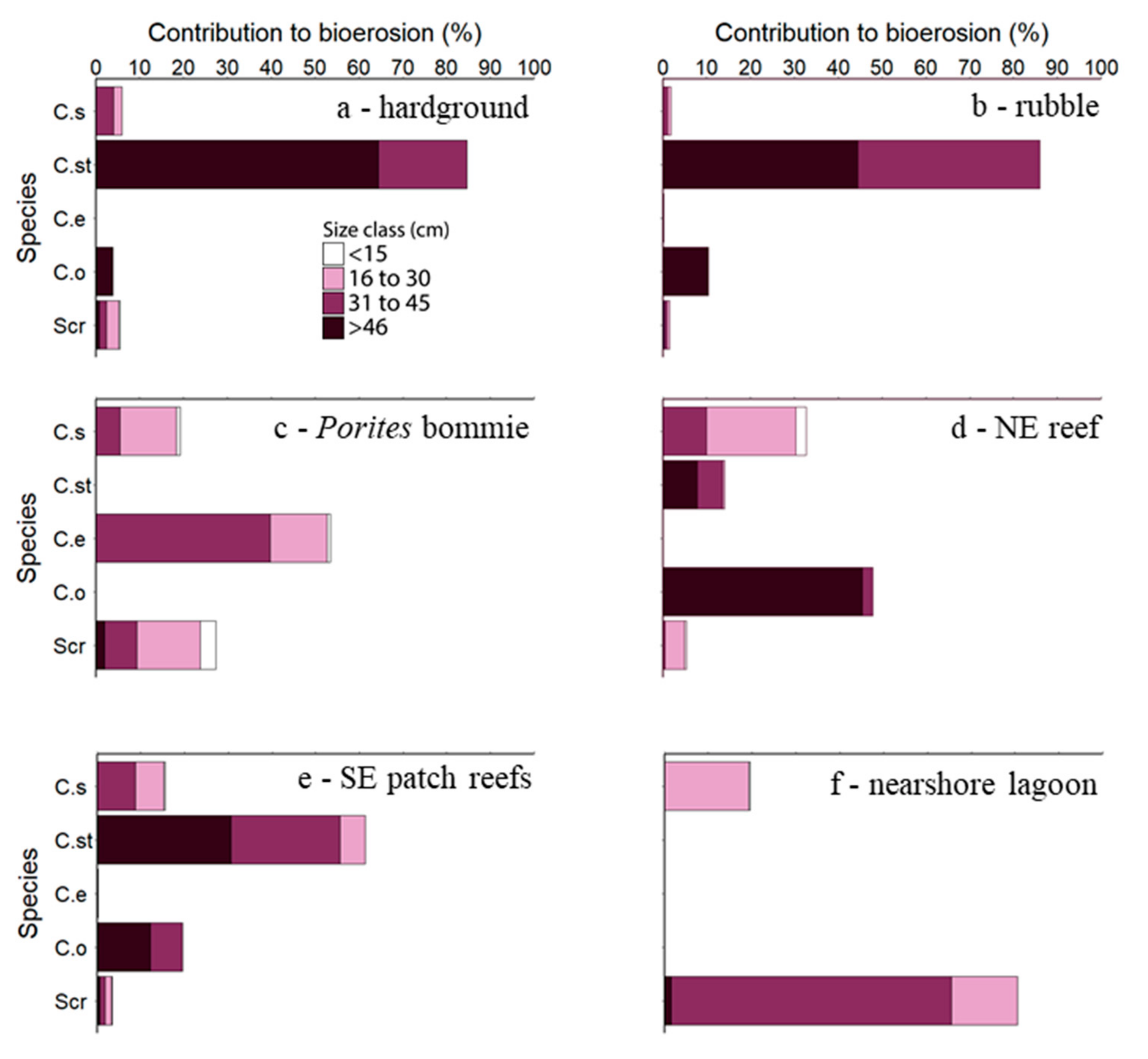 Diversity 12 00381 g002