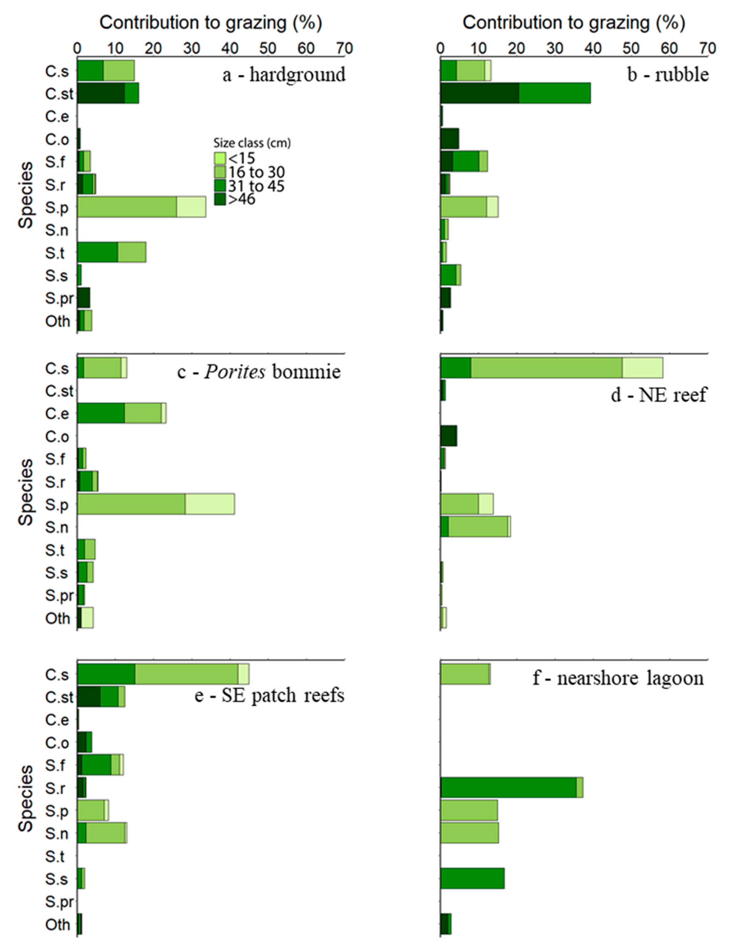 Diversity 12 00381 g004