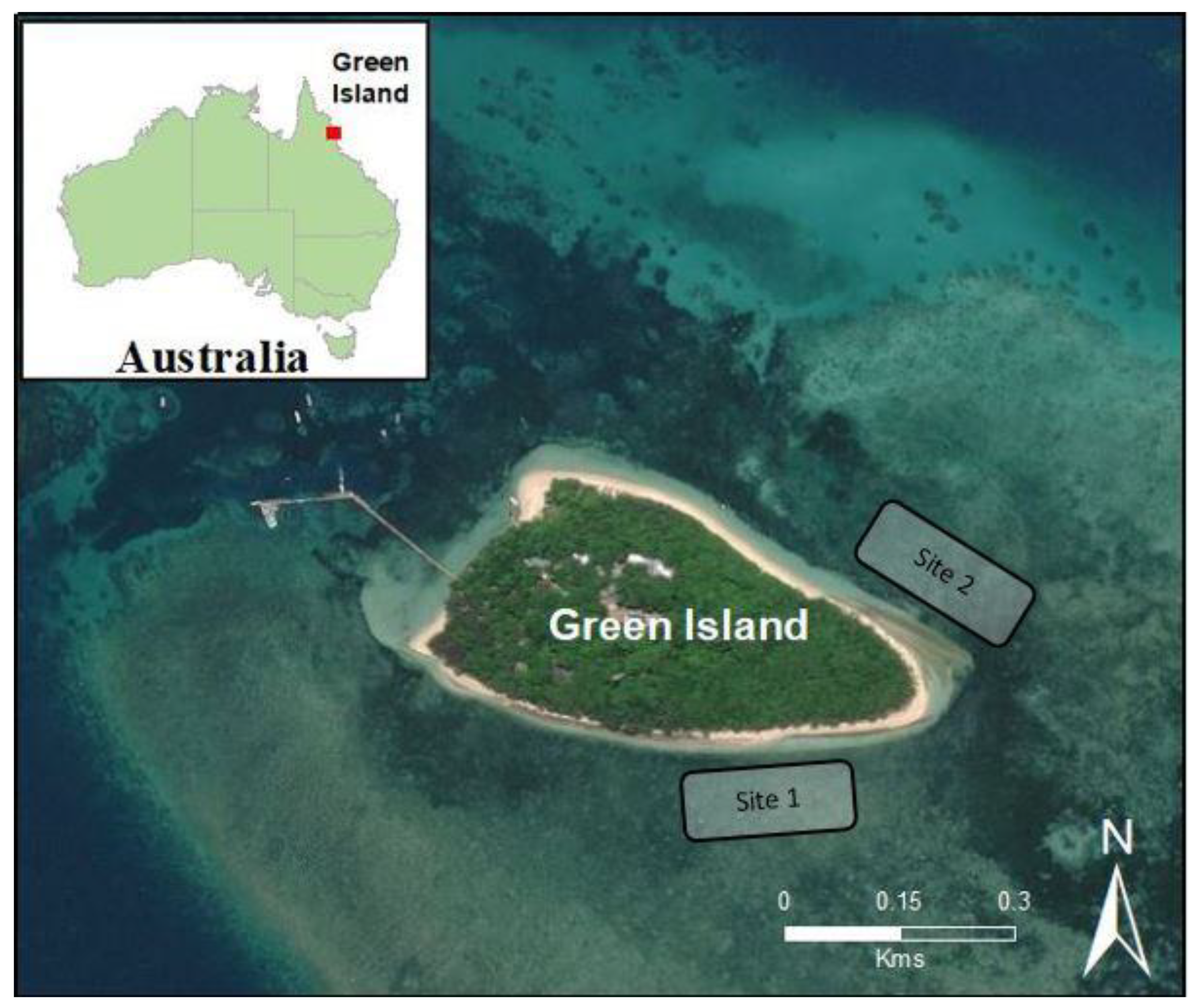 Diversity 12 00384 g001