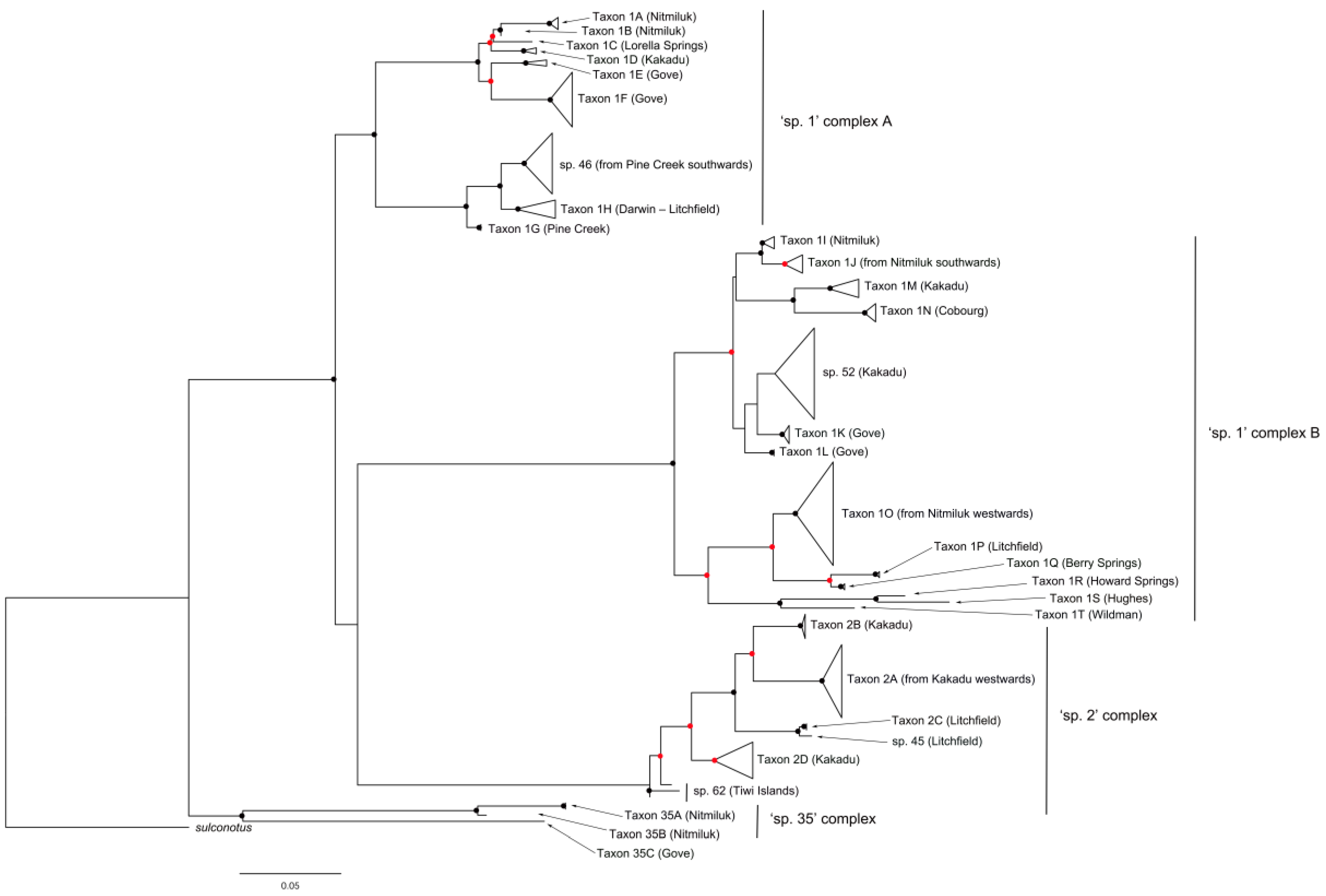 Diversity 12 00386 g006