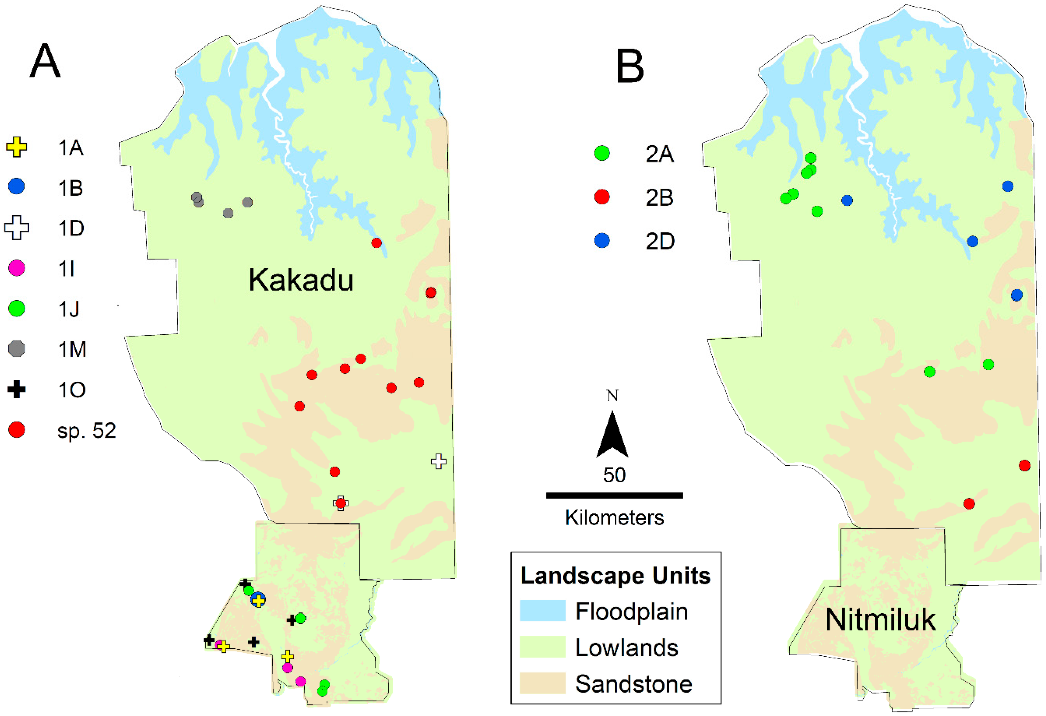 Diversity 12 00386 g011