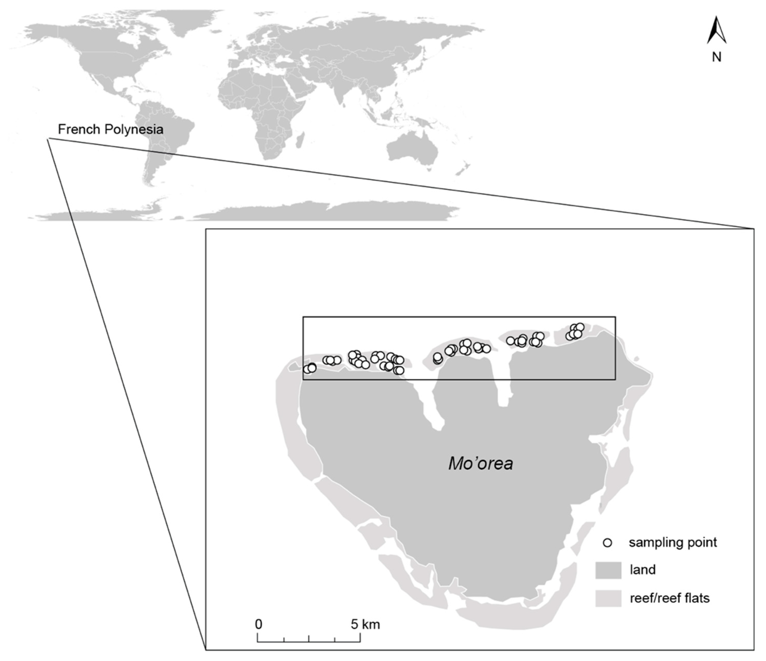 Diversity 12 00391 g001