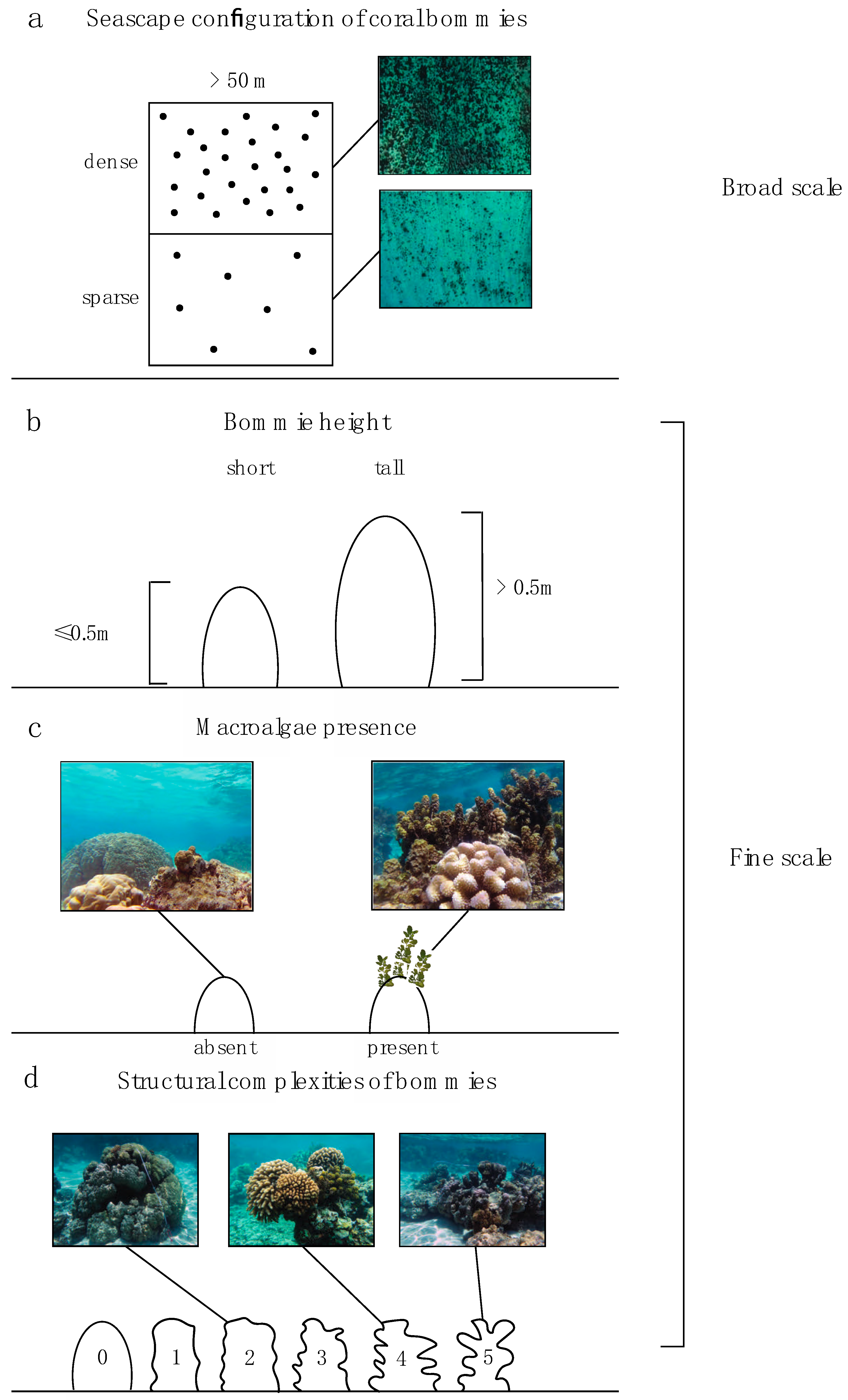 Diversity 12 00391 g002