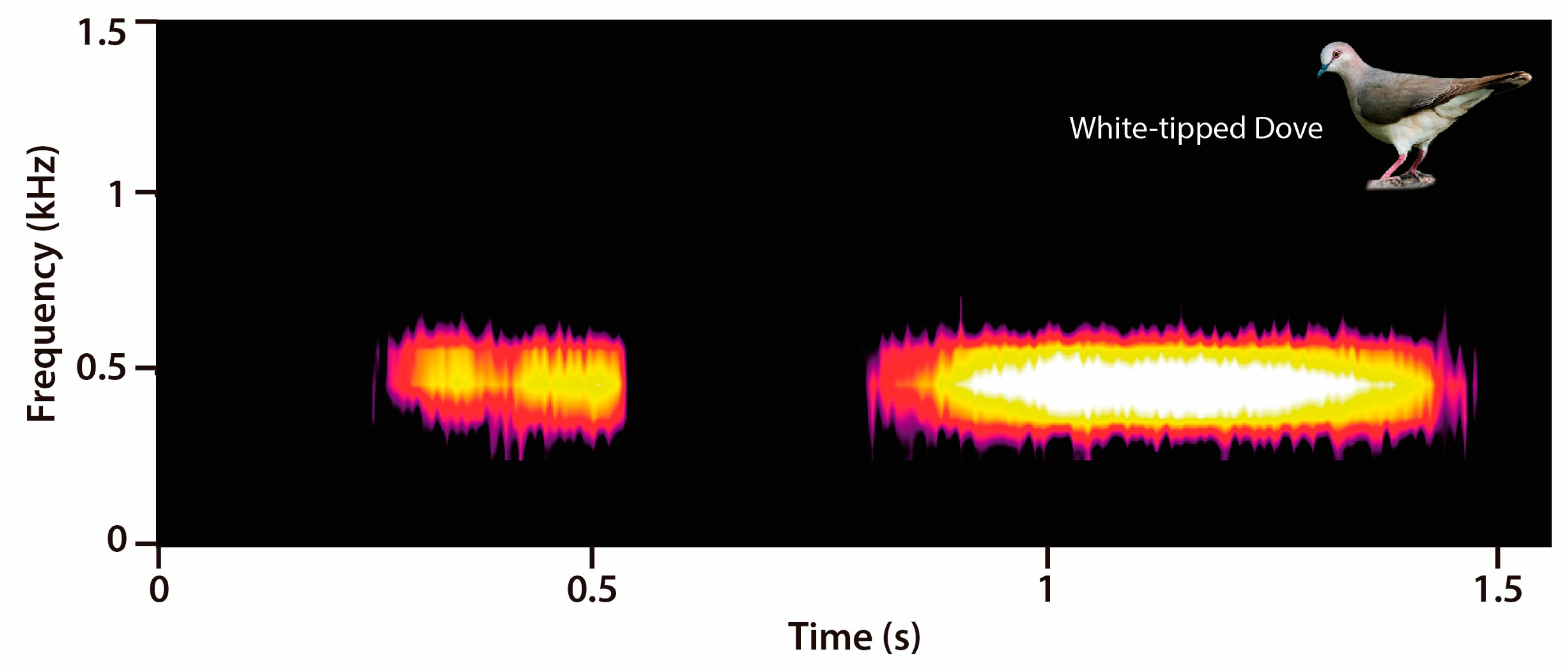 Diversity 12 00402 g001