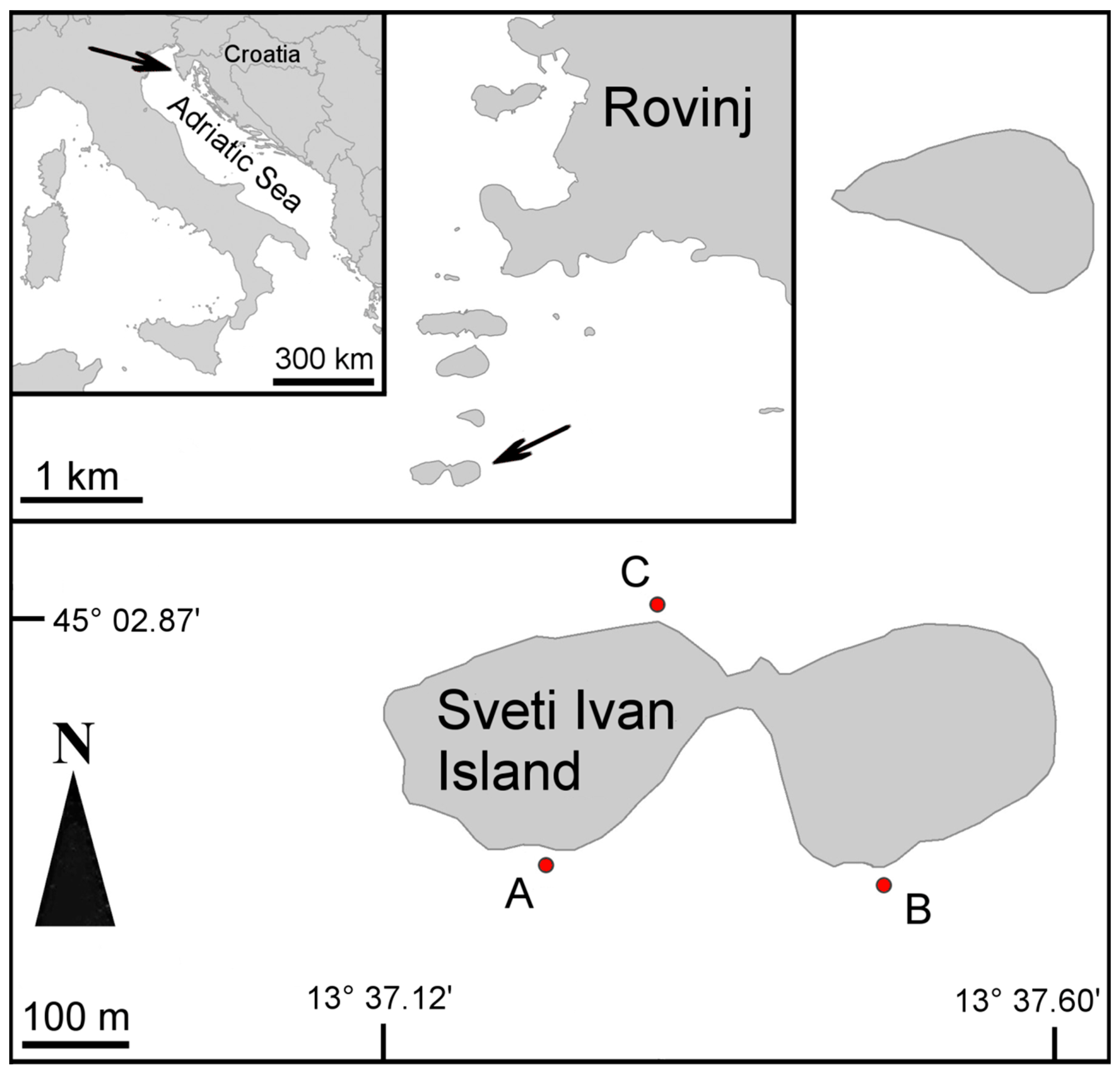 Diversity 12 00408 g001