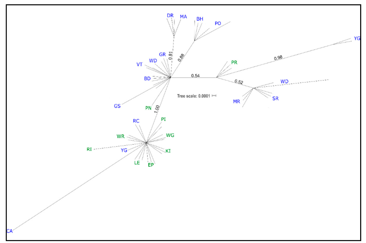 Diversity 12 00422 g002 Diversity 12 00422 g002