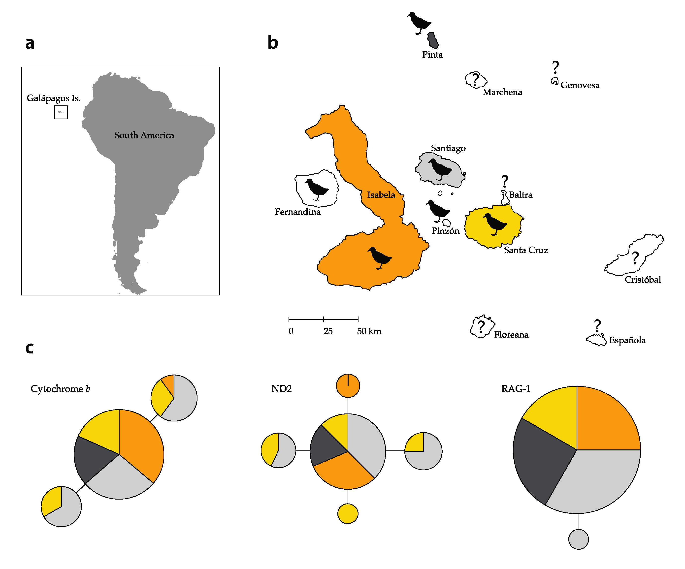 Diversity 12 00425 g001