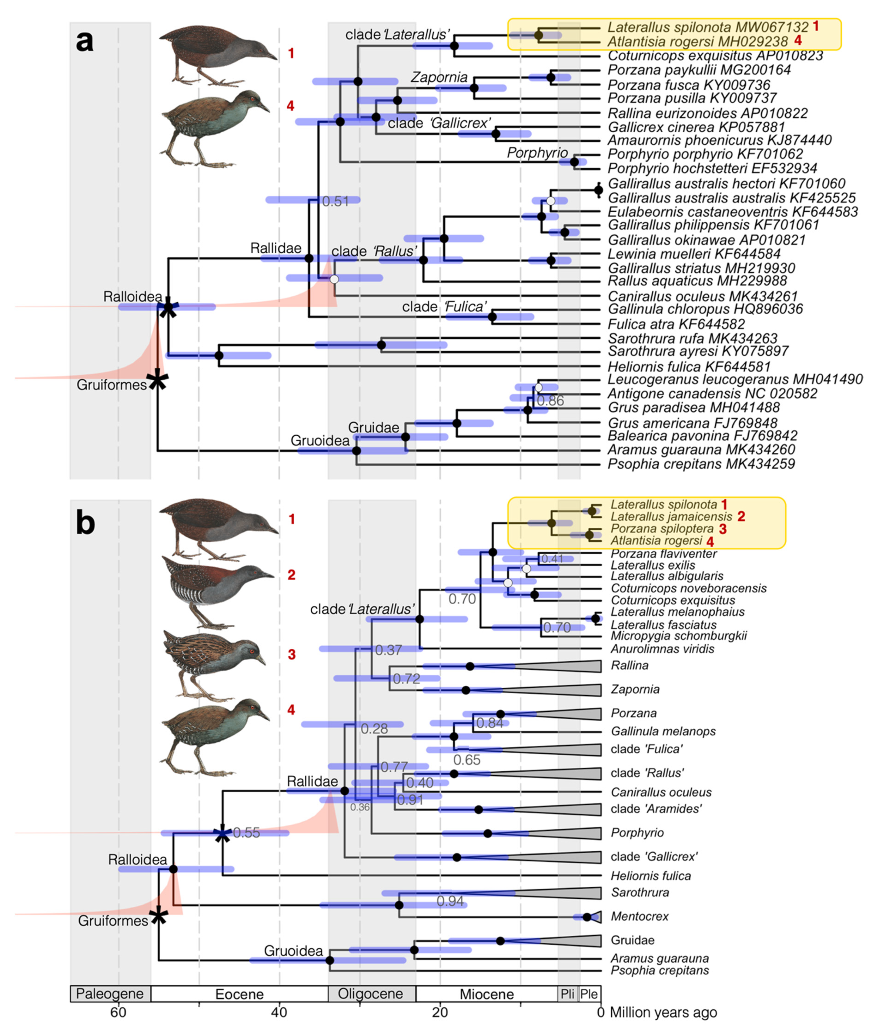 Diversity 12 00425 g002
