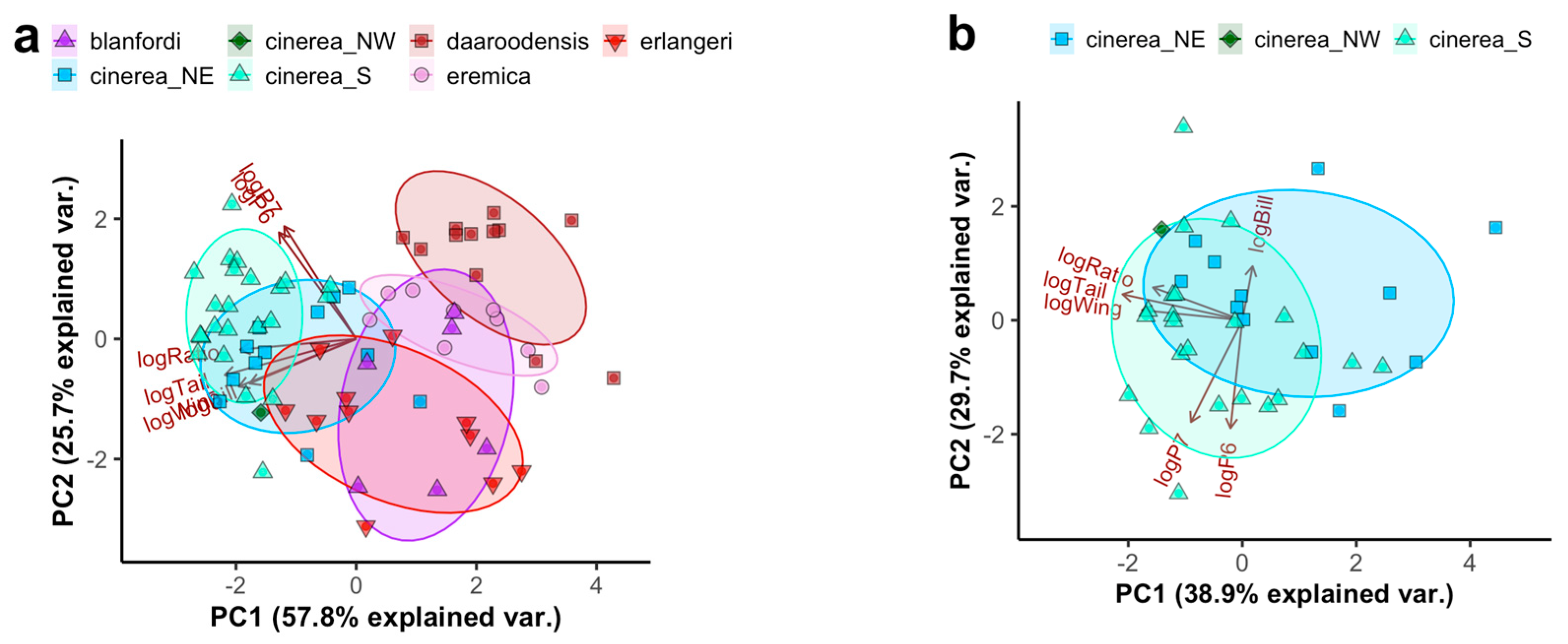 Diversity 12 00428 g002