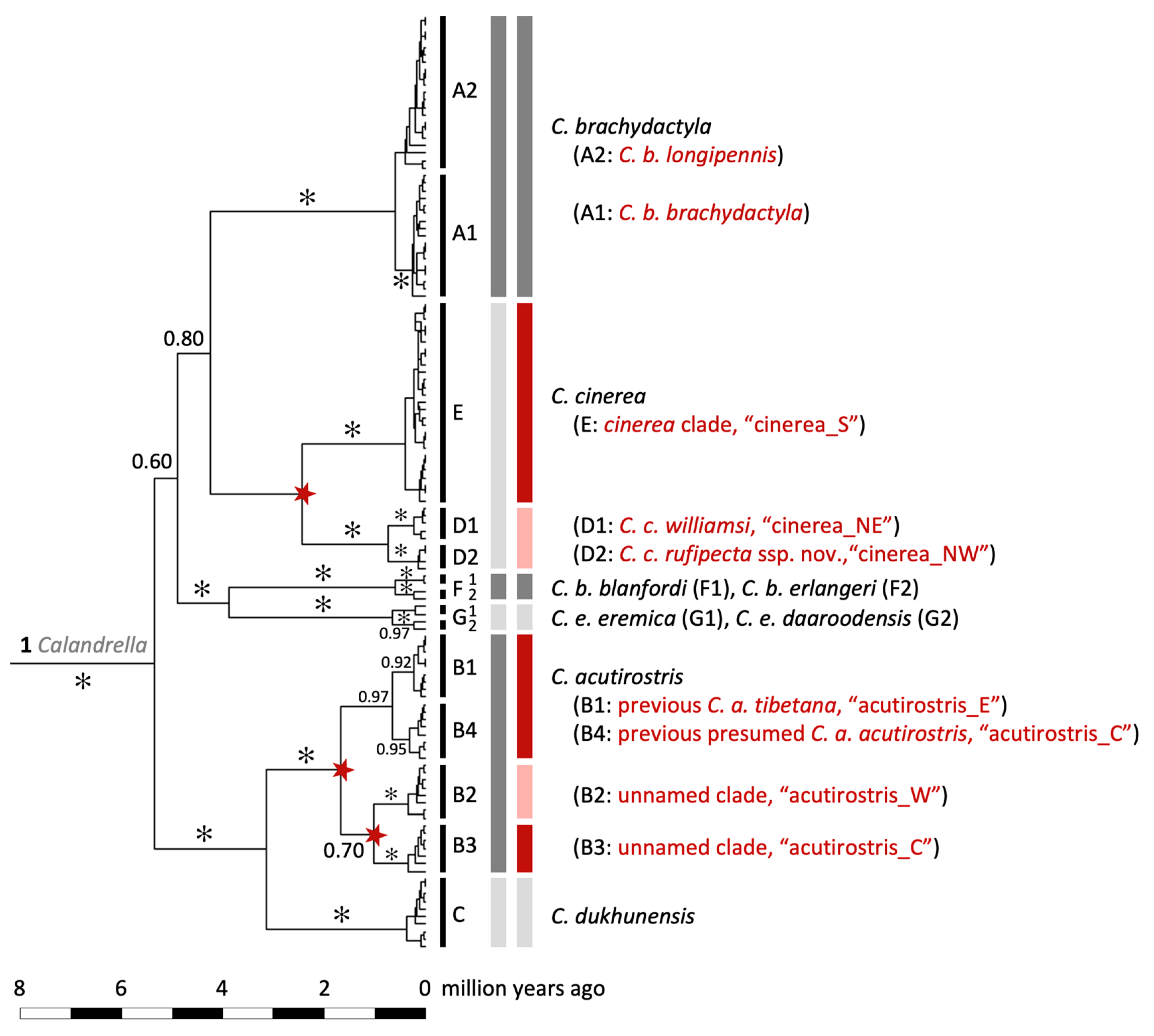 Diversity 12 00428 g005