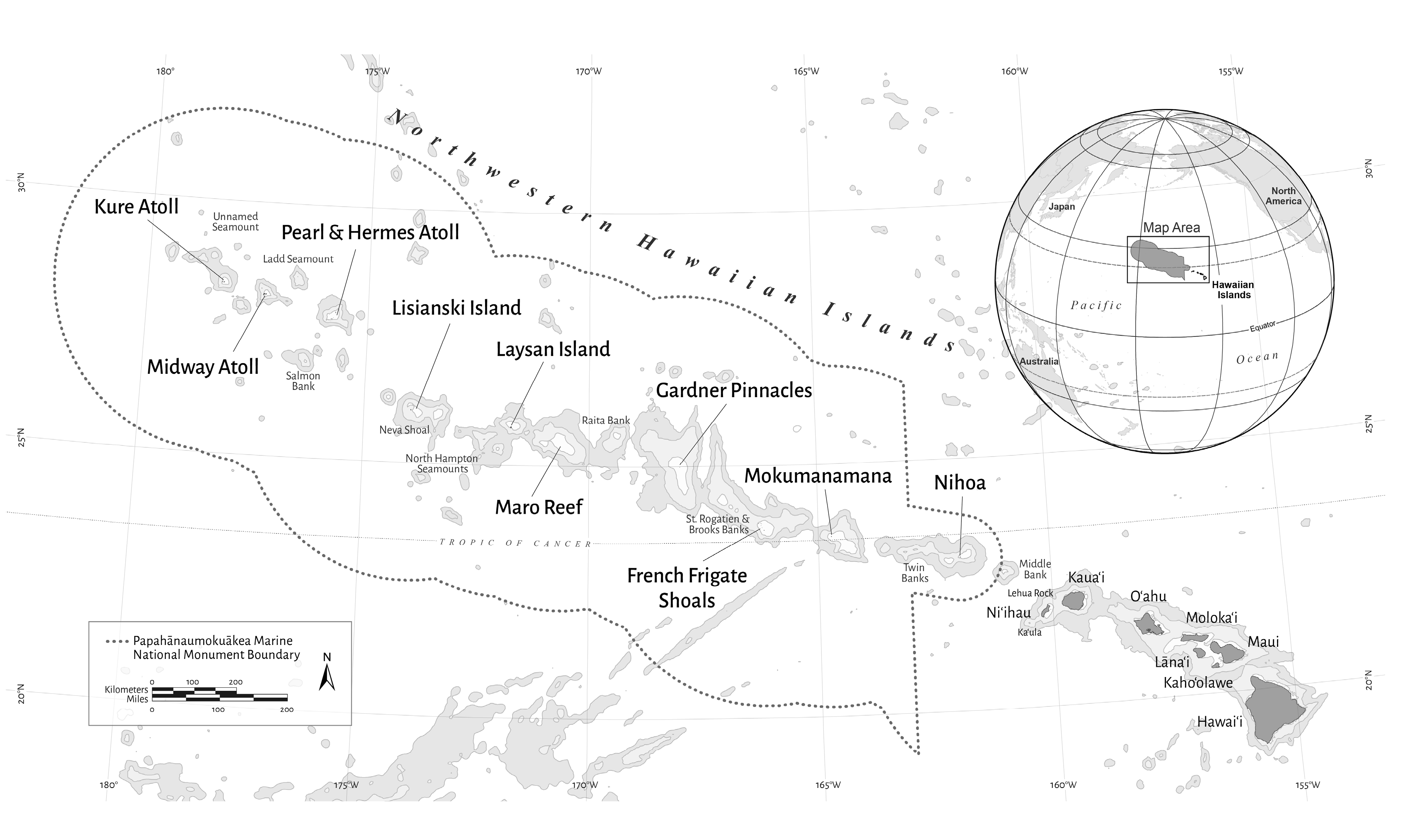 Diversity 12 00430 g001