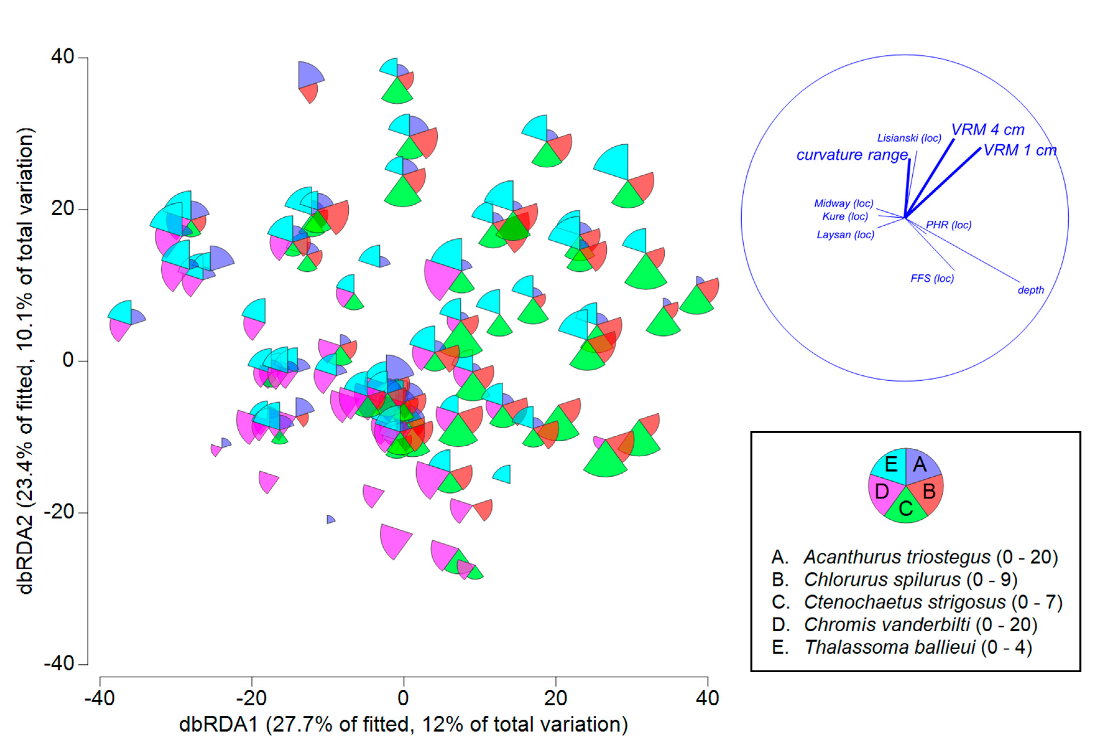 Diversity 12 00430 g006