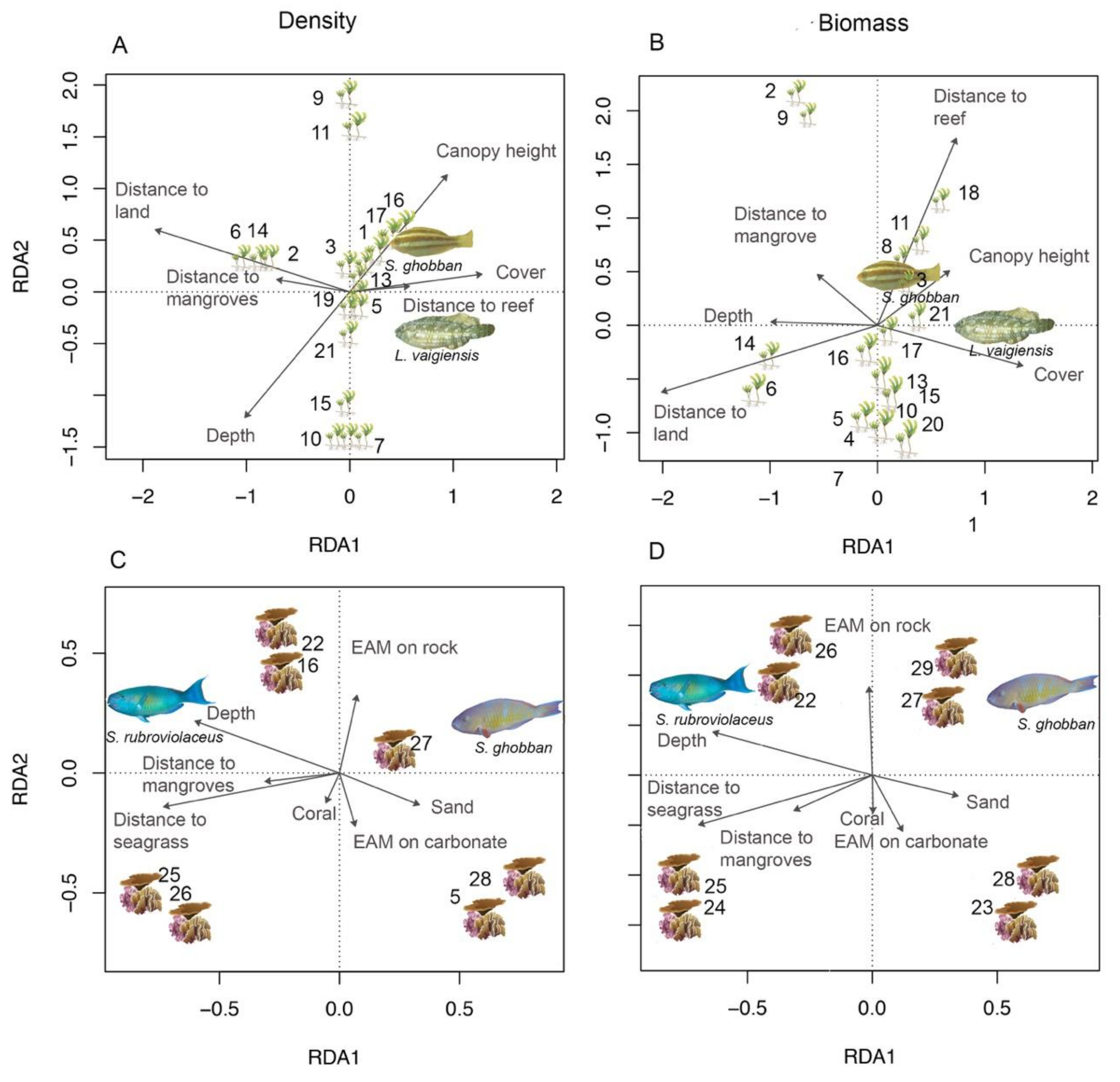 Diversity 12 00434 g002