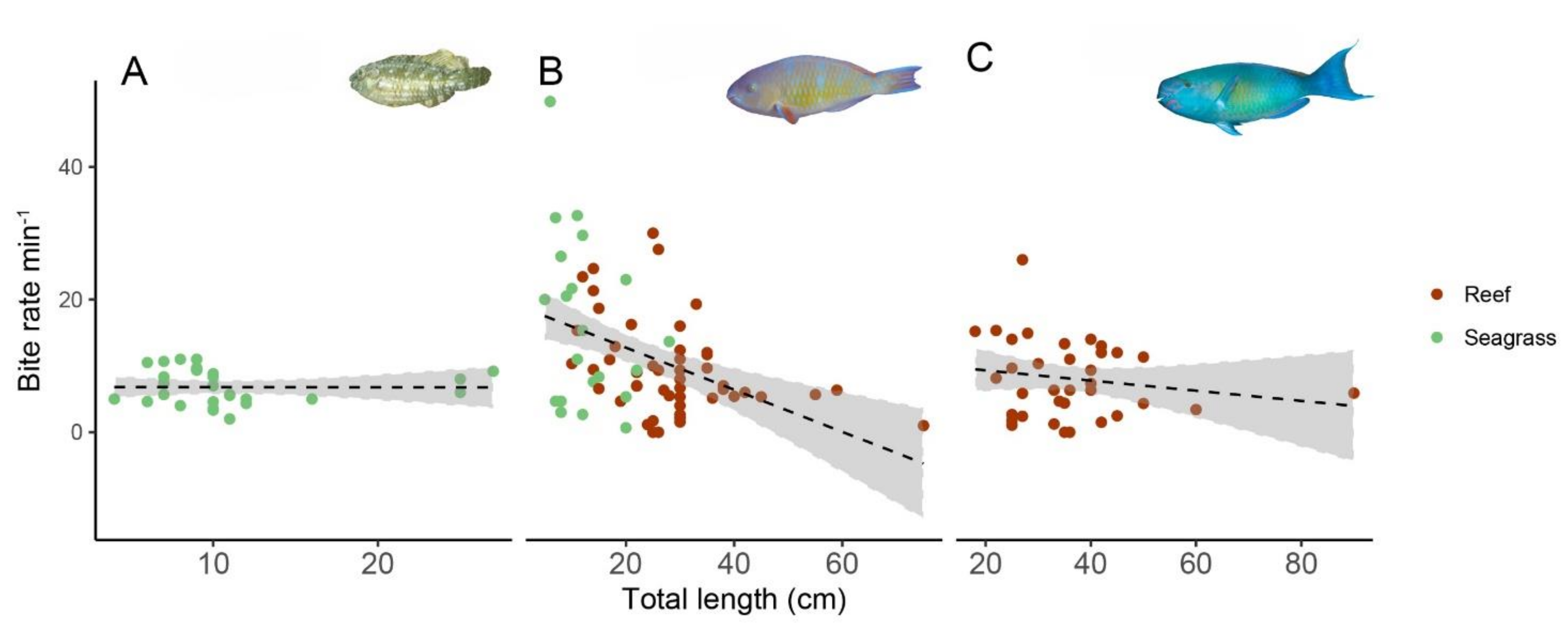 Diversity 12 00434 g003