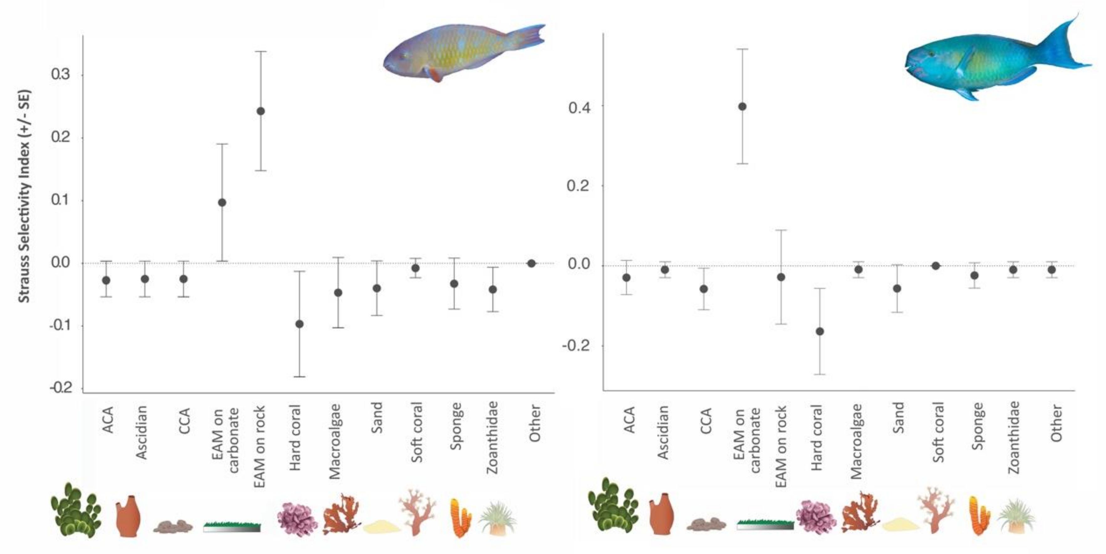 Diversity 12 00434 g004