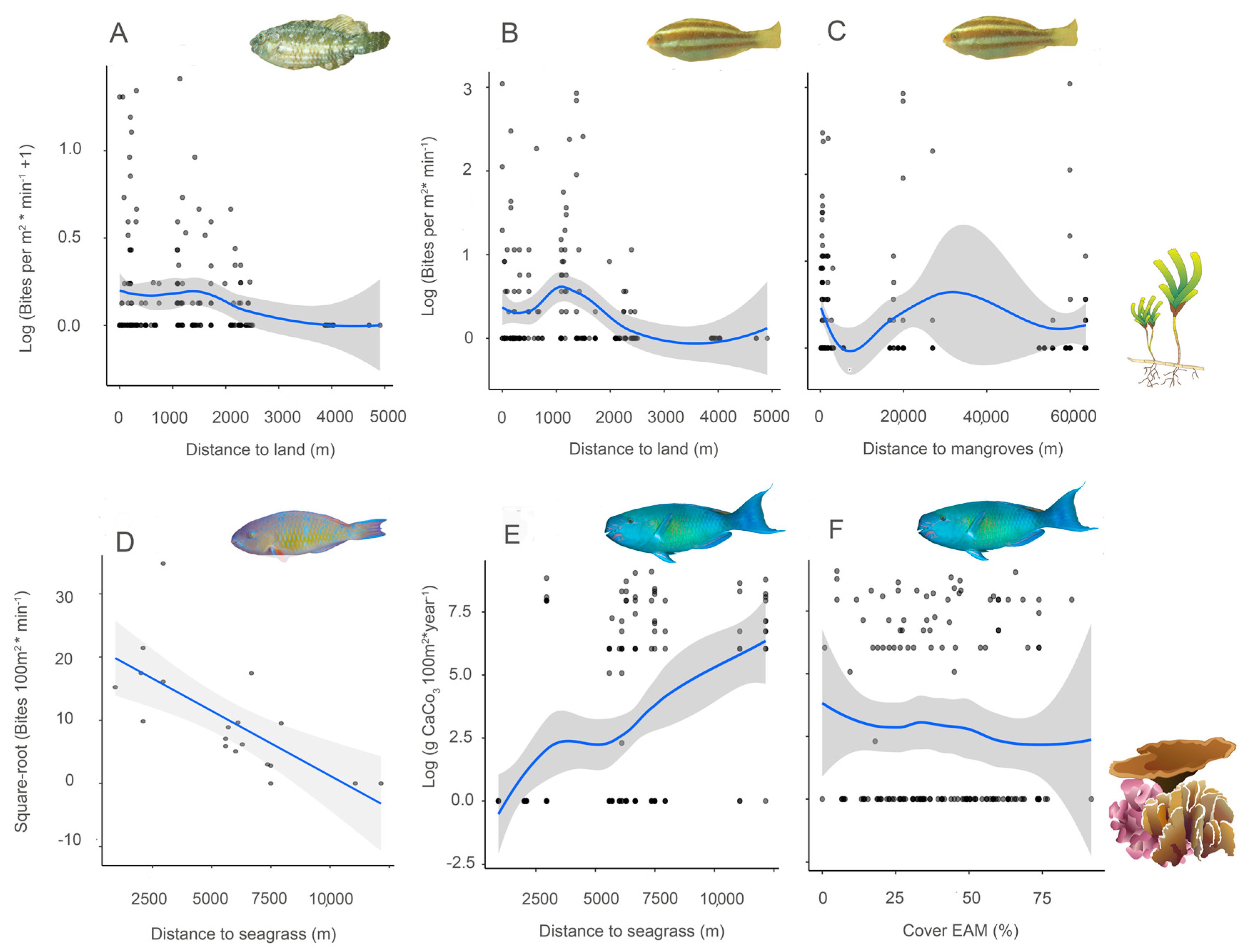 Diversity 12 00434 g005
