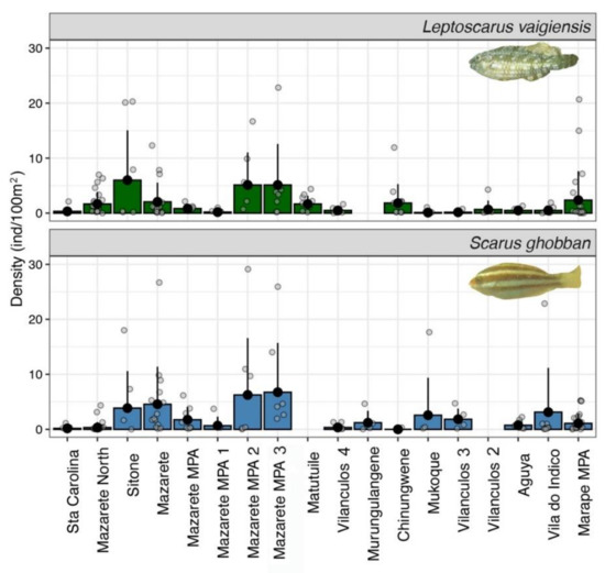 Diversity 12 00434 g0a3