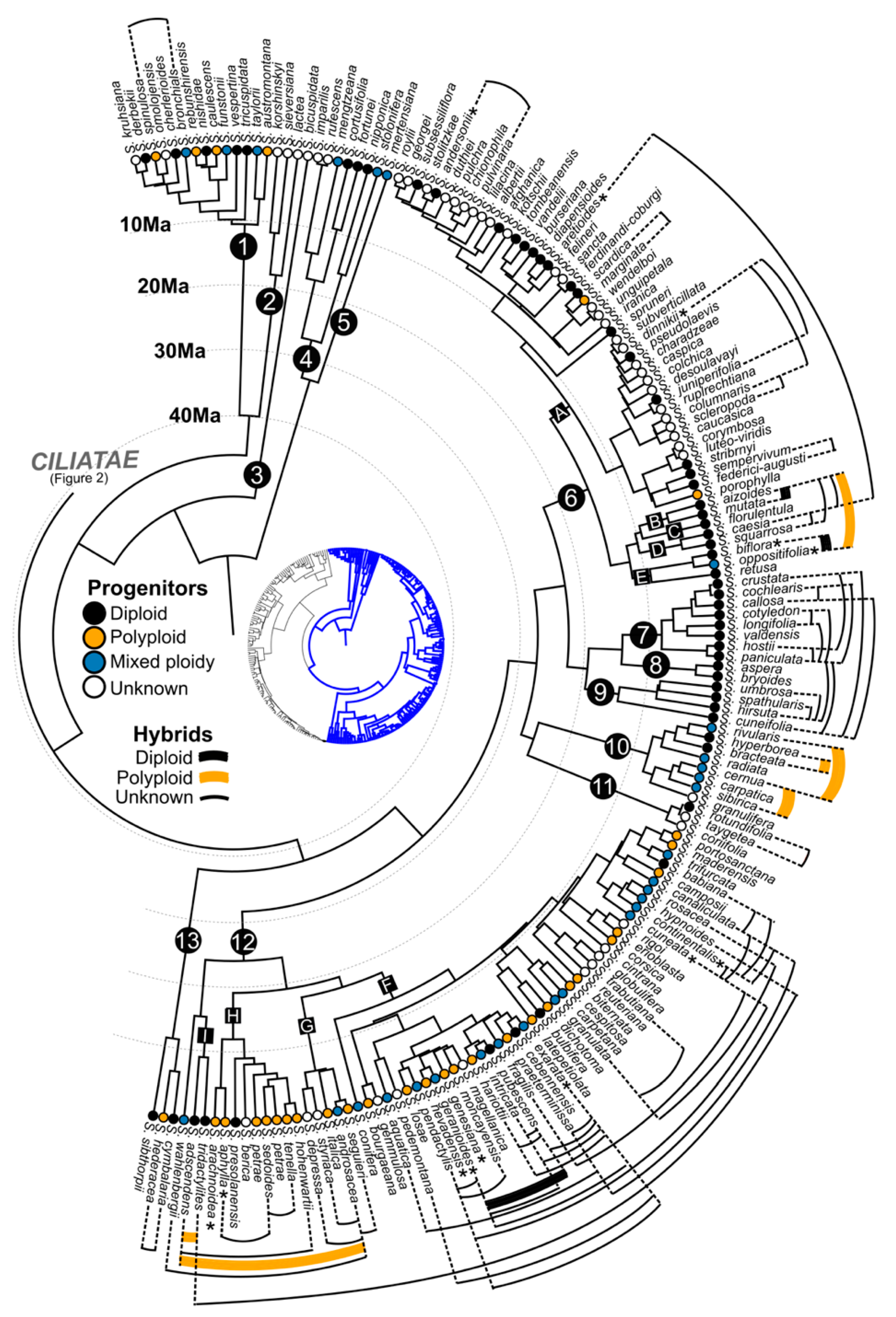 Diversity 12 00440 g001 Diversity 12 00440 g001