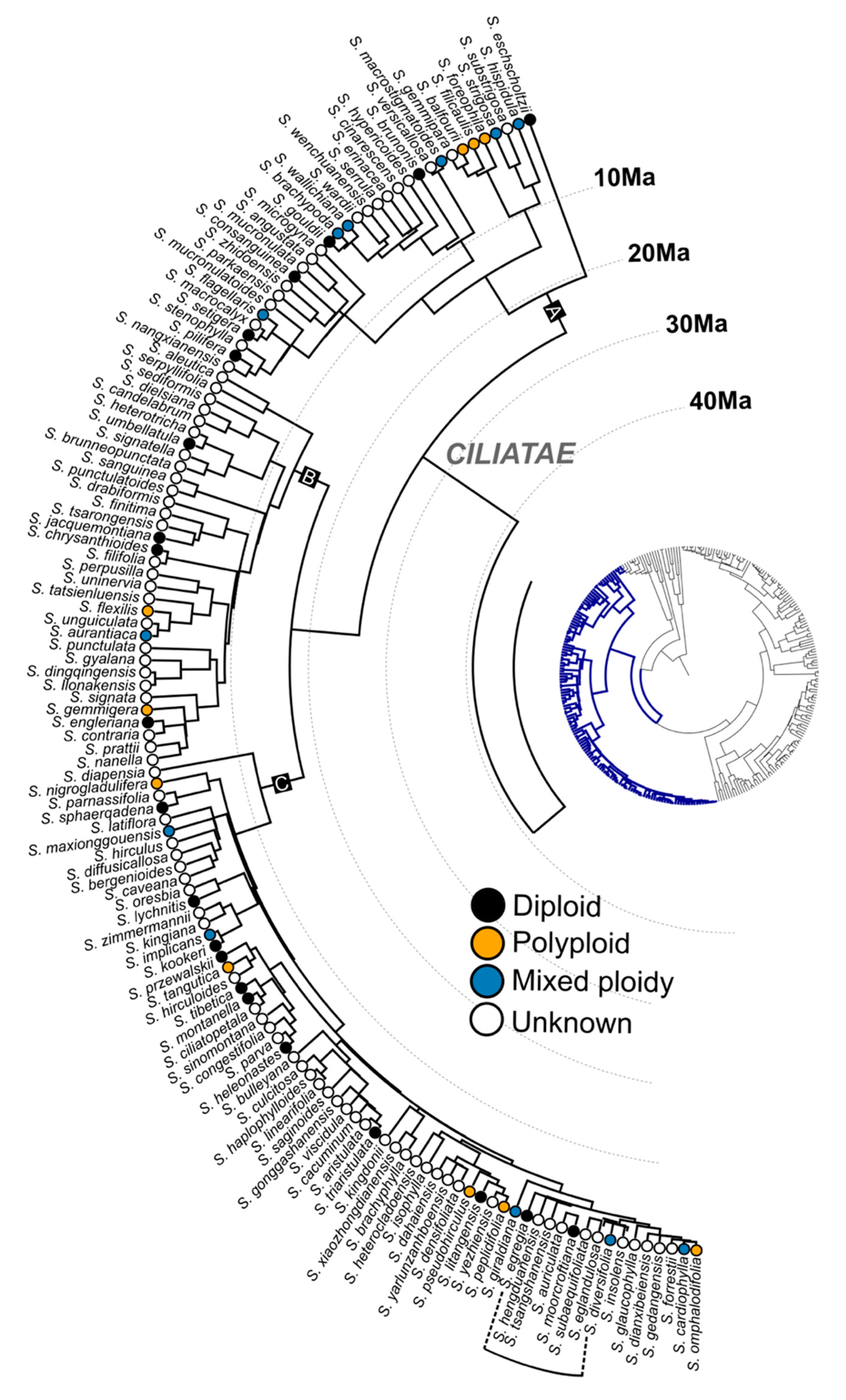 Diversity 12 00440 g002 Diversity 12 00440 g002