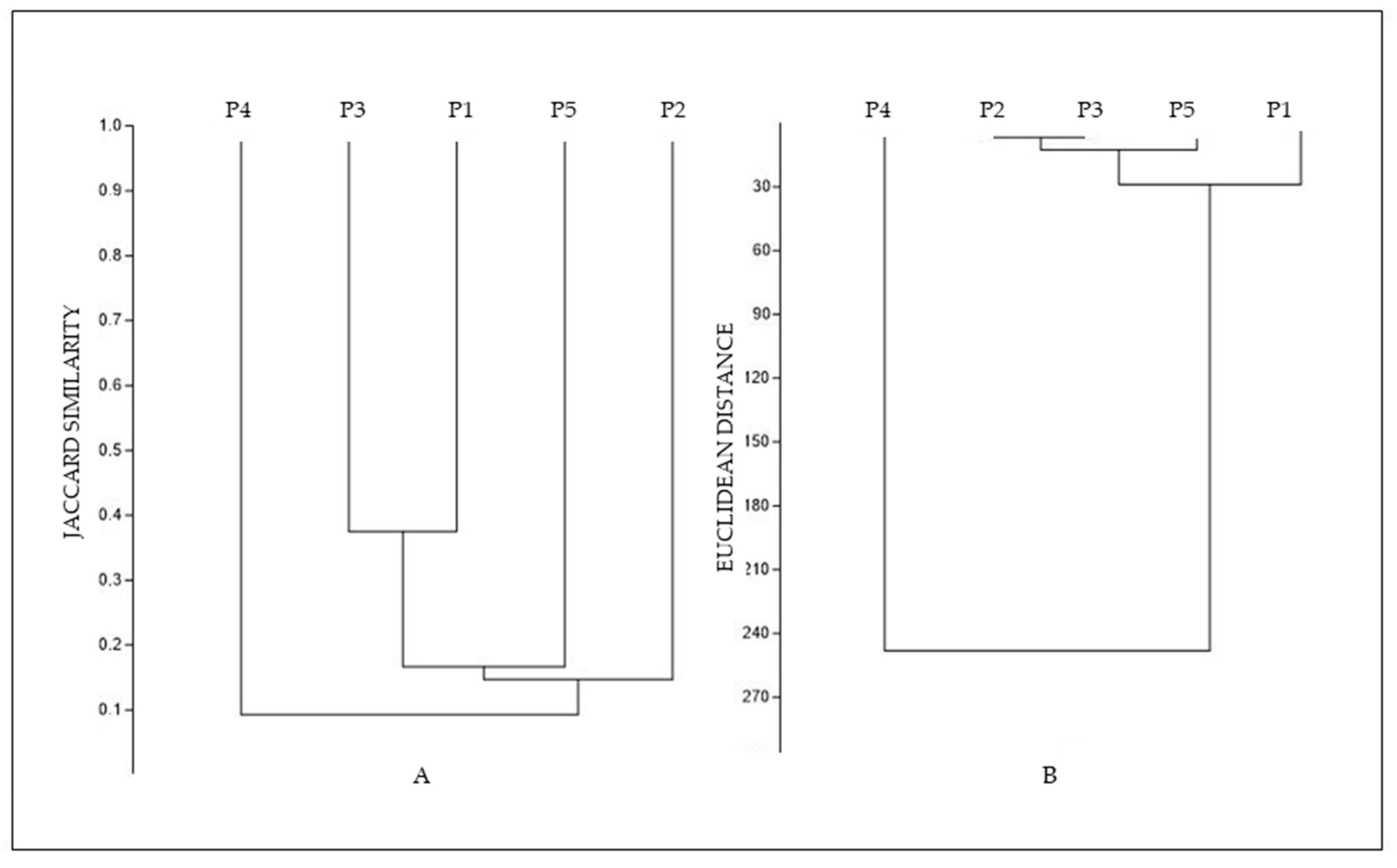 Diversity 12 00451 g002