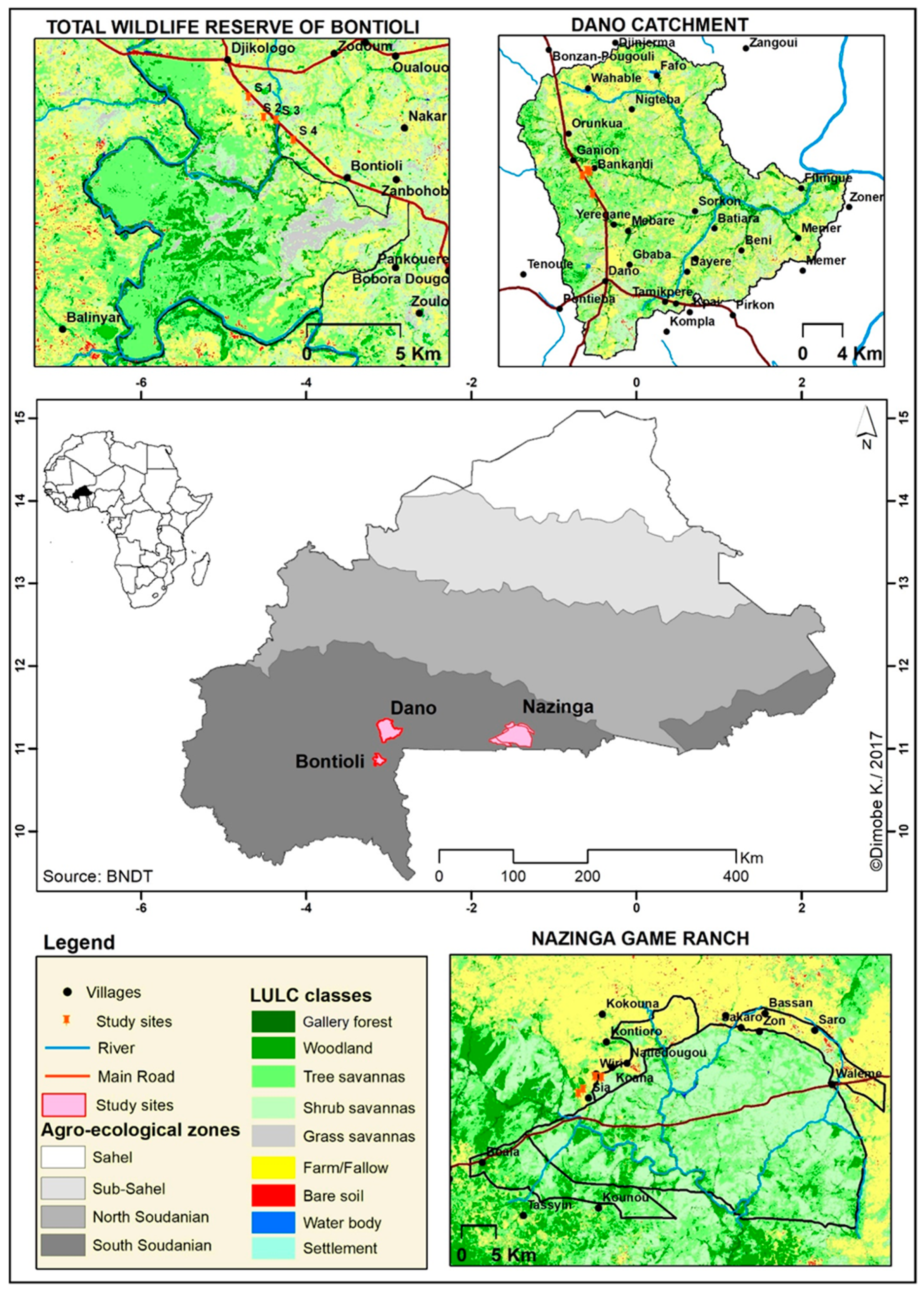 Diversity 13 00001 g001