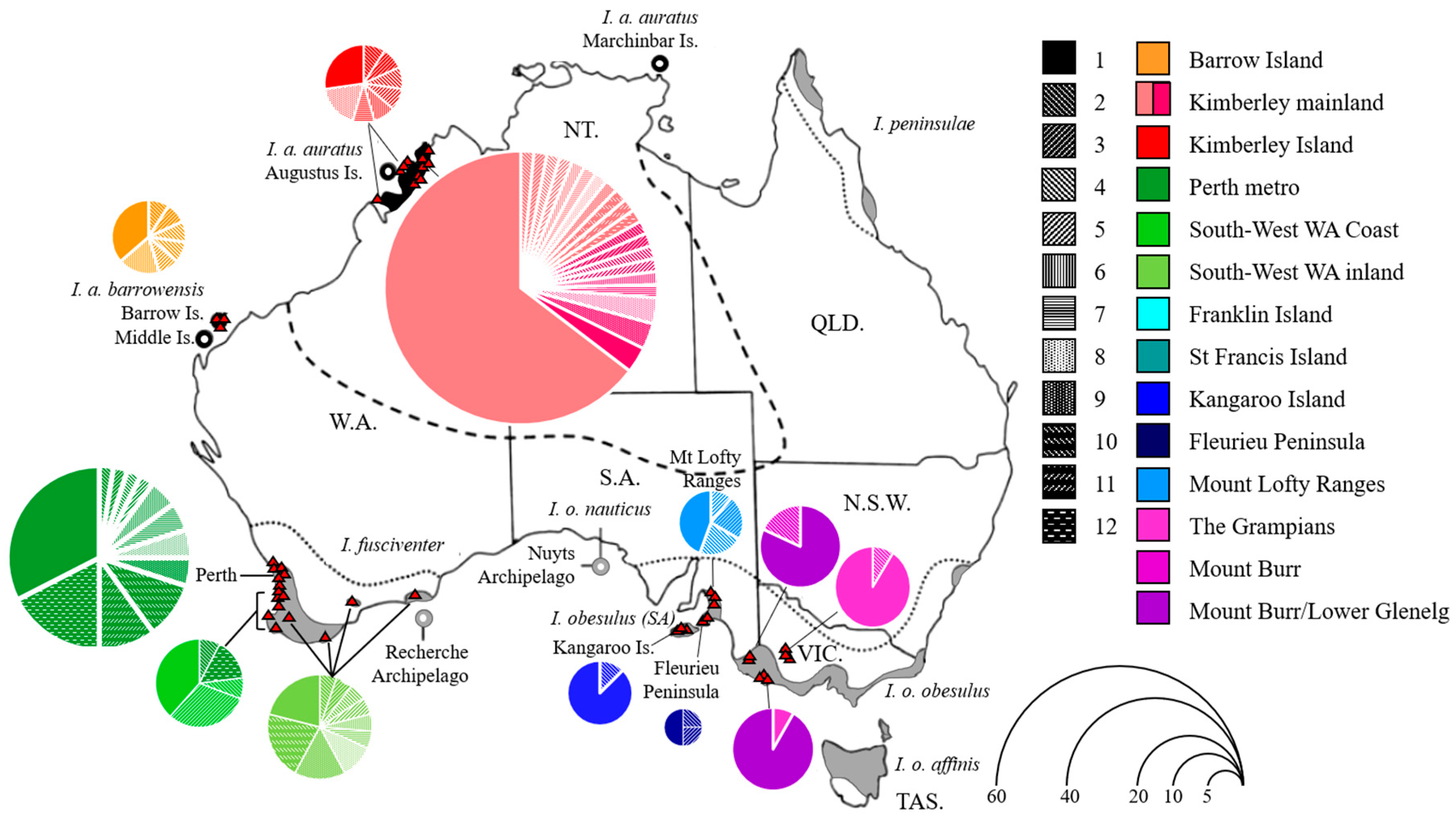 Diversity 13 00002 g001 Diversity 13 00002 g001