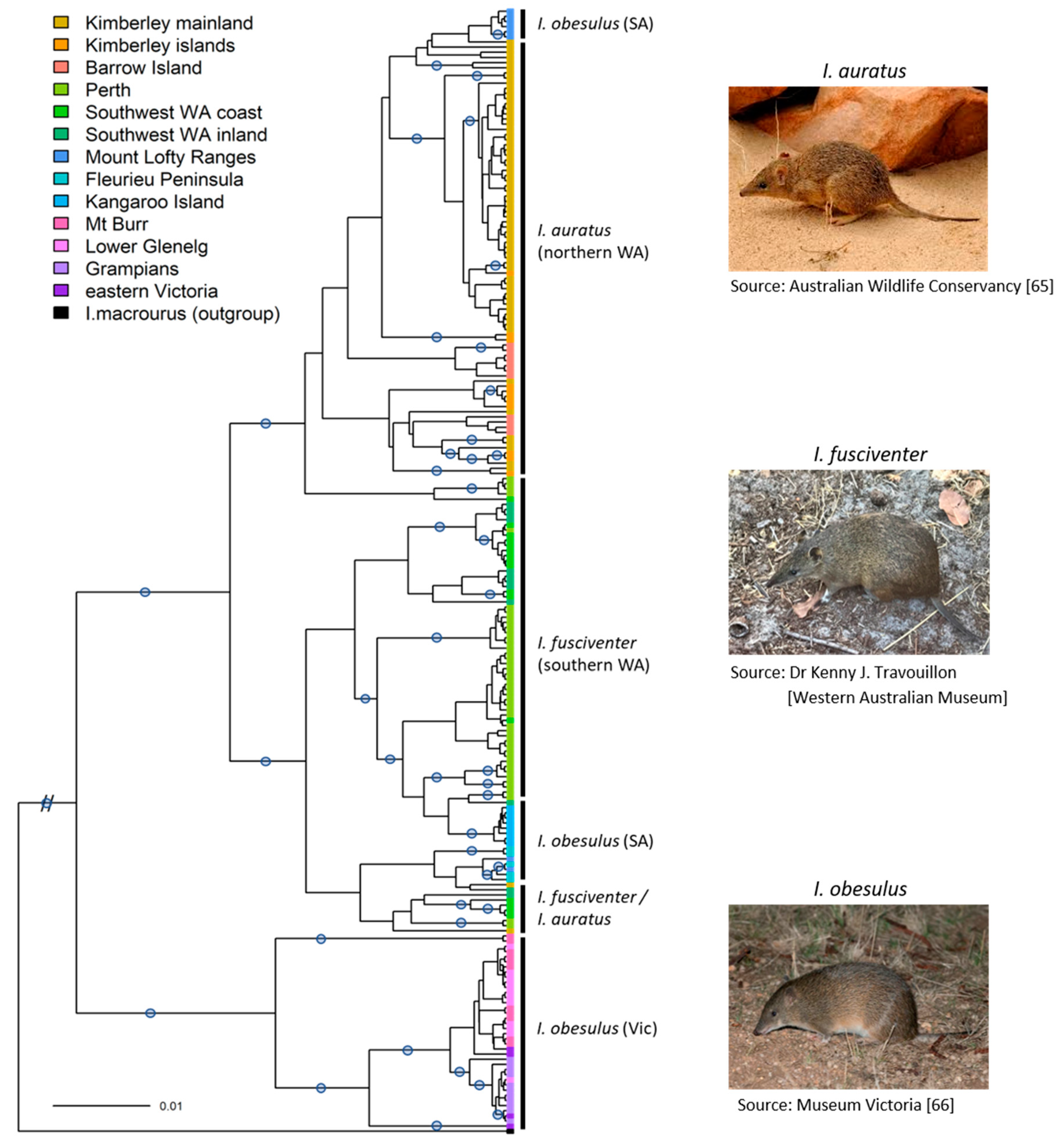Diversity 13 00002 g002 Diversity 13 00002 g002