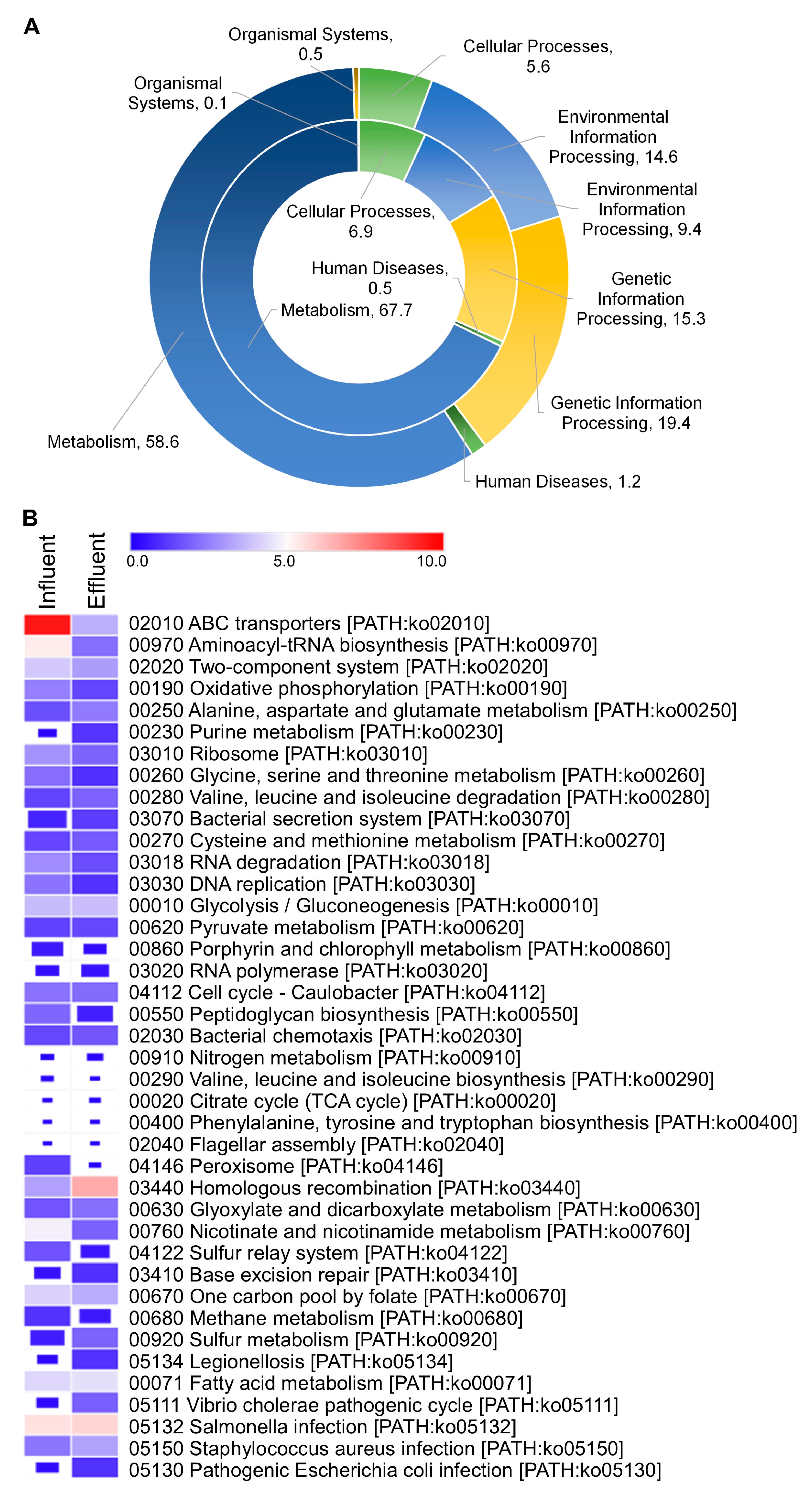 Diversity 13 00006 g006
