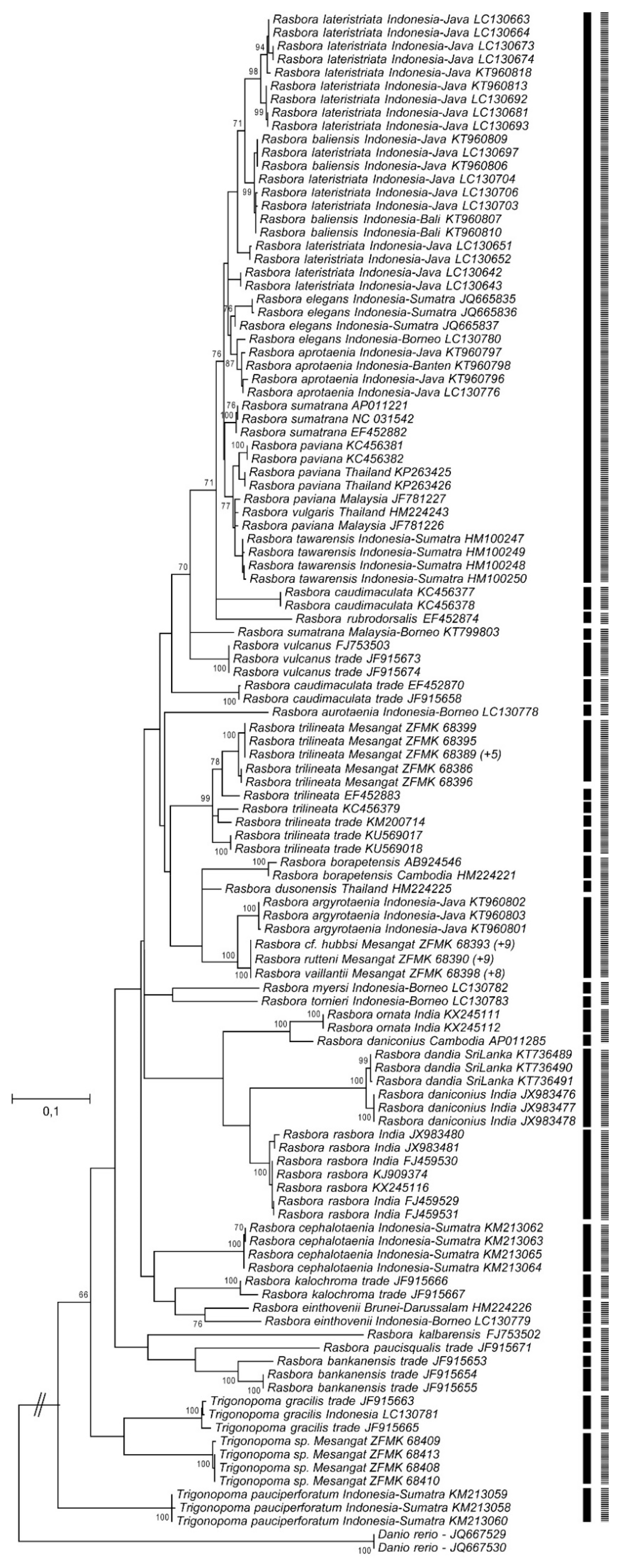 Diversity 13 00008 g002