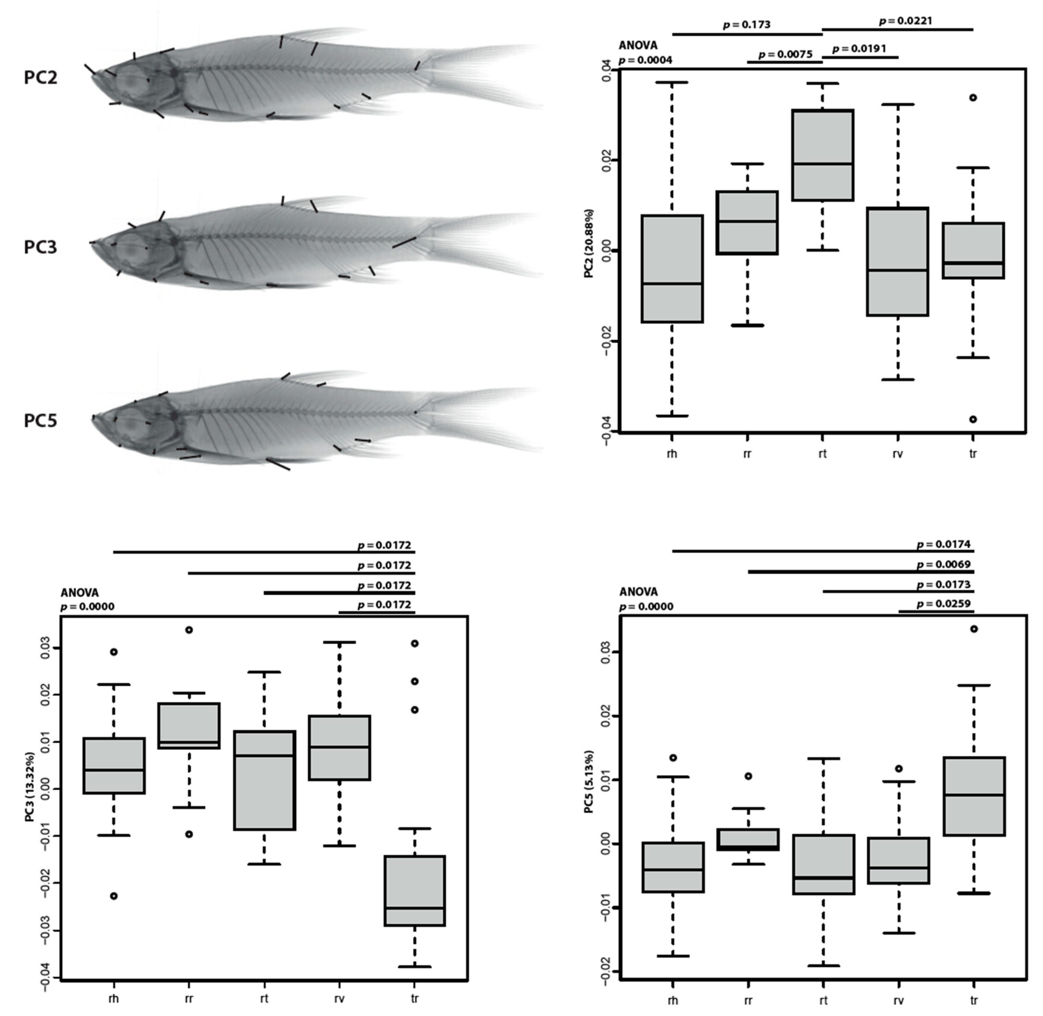 Diversity 13 00008 g003