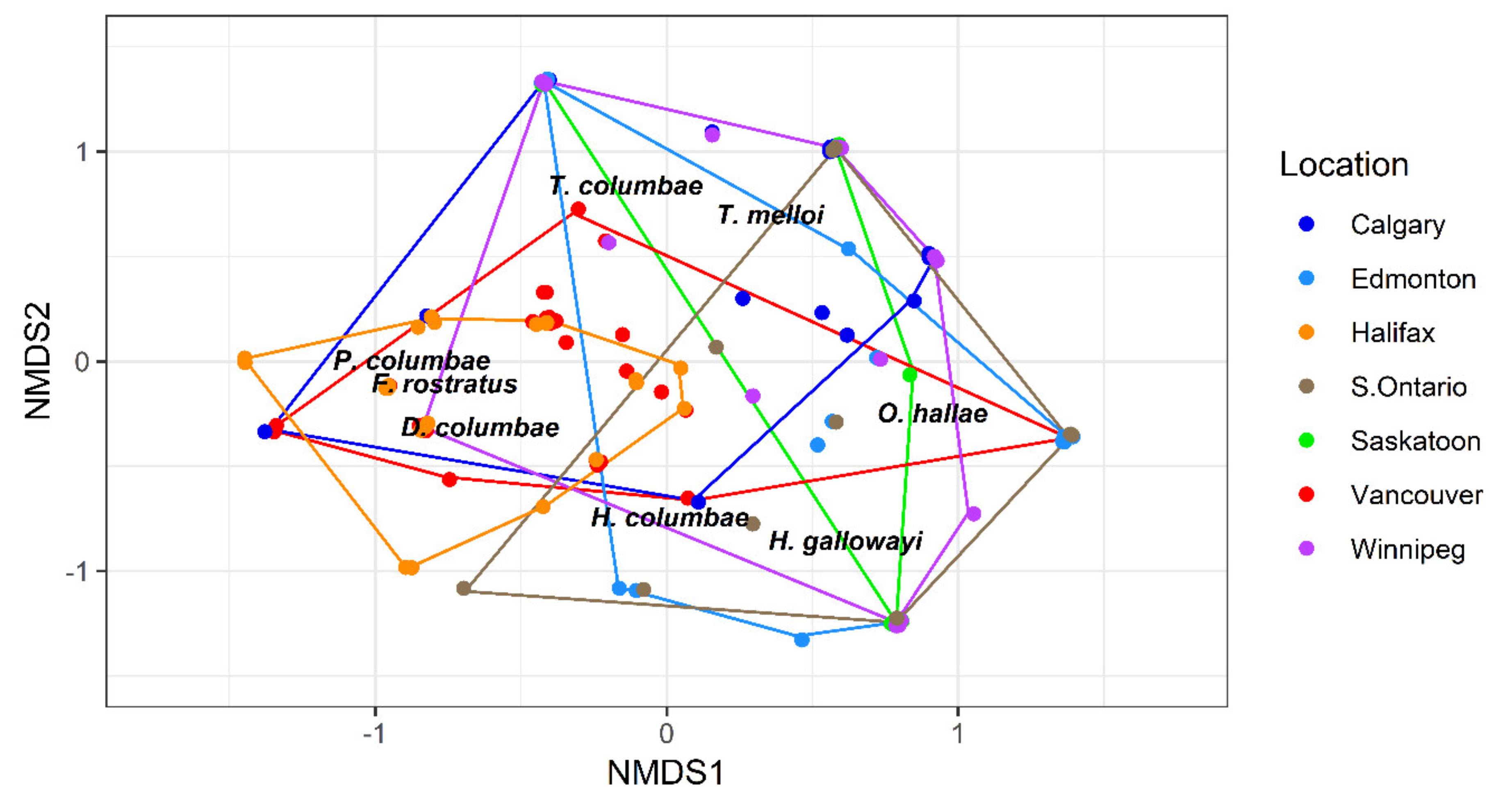Diversity 13 00009 g006