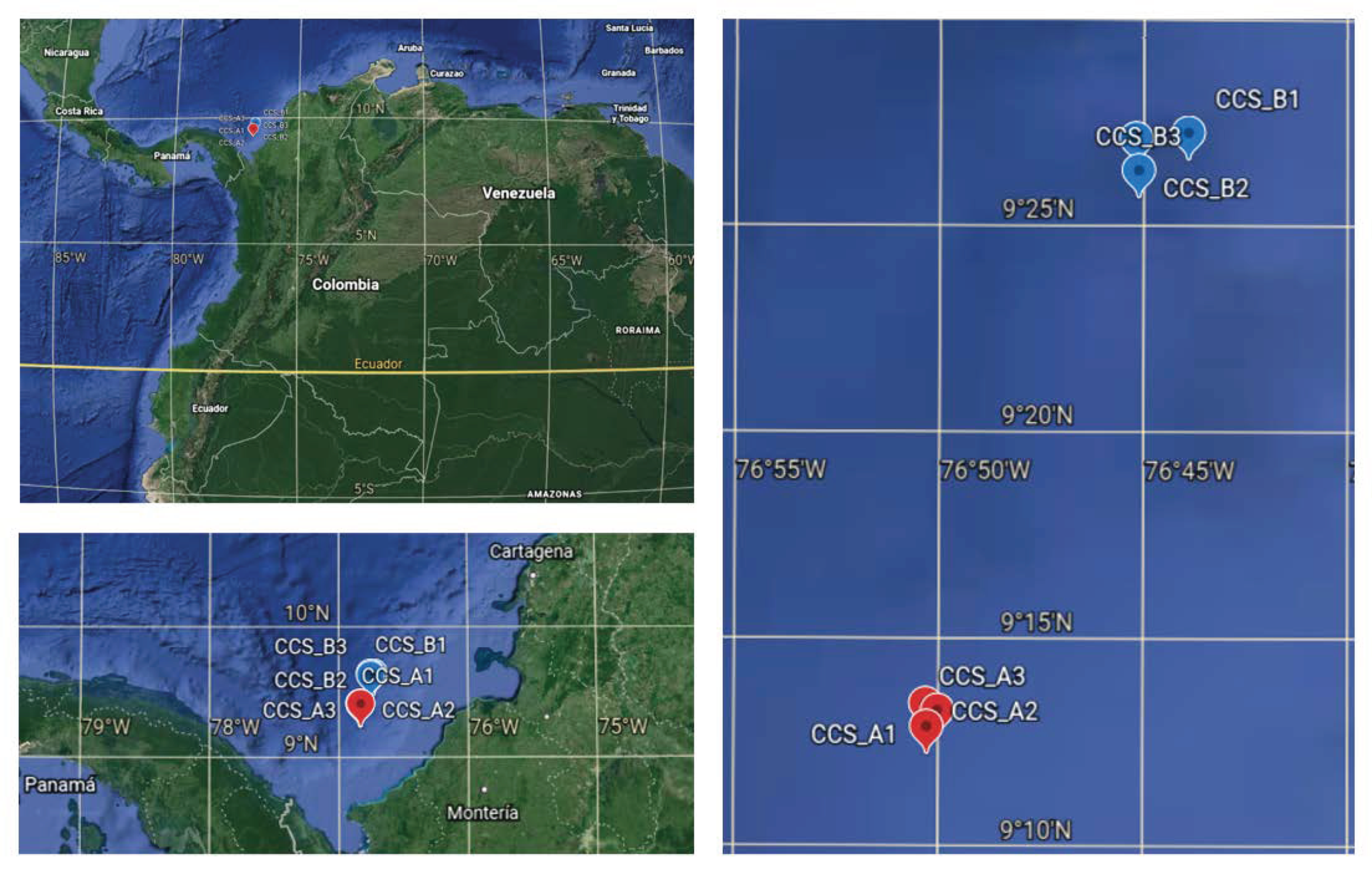 Diversity 13 00010 g001 Diversity 13 00010 g001