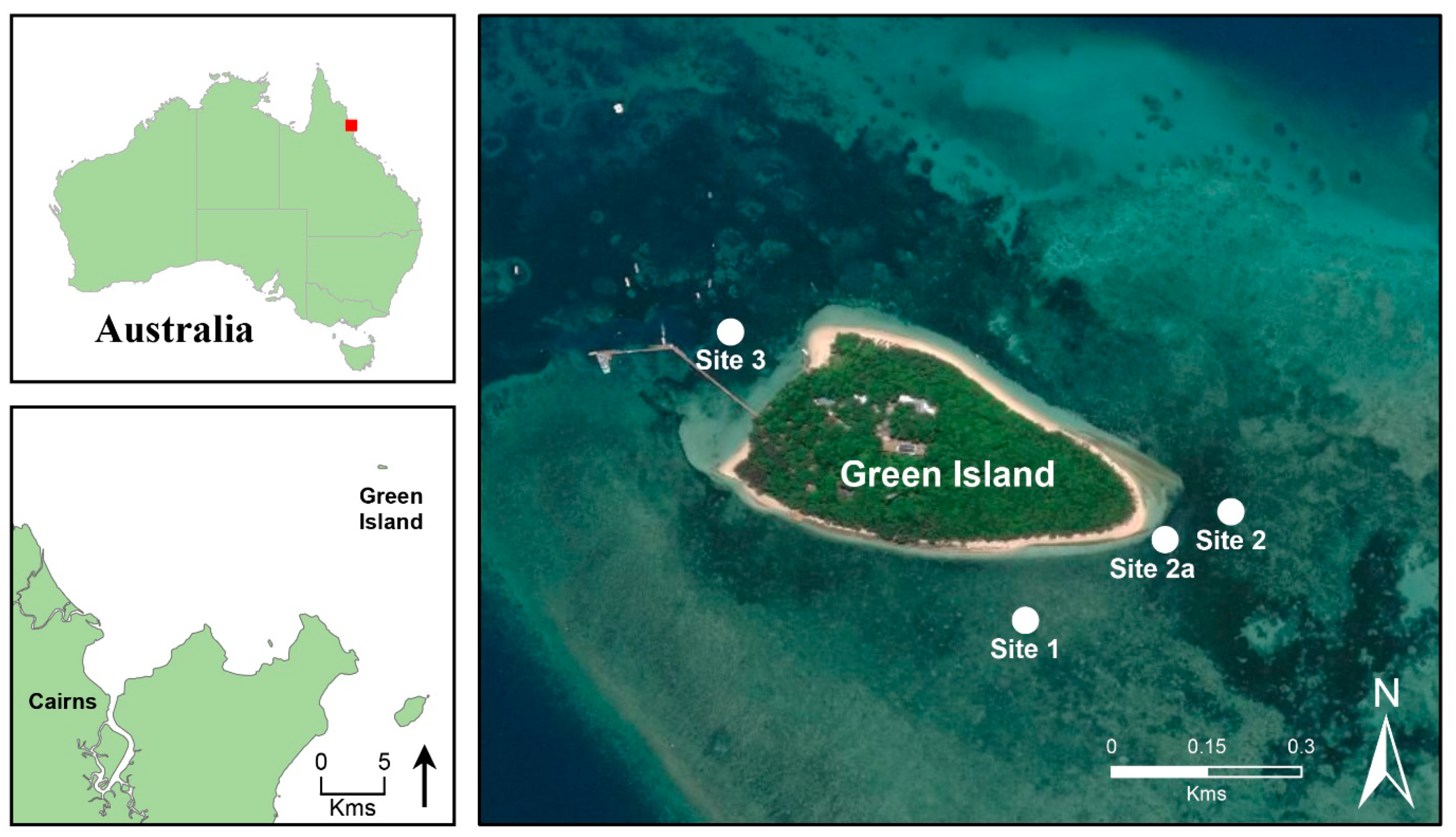 Diversity 13 00012 g001