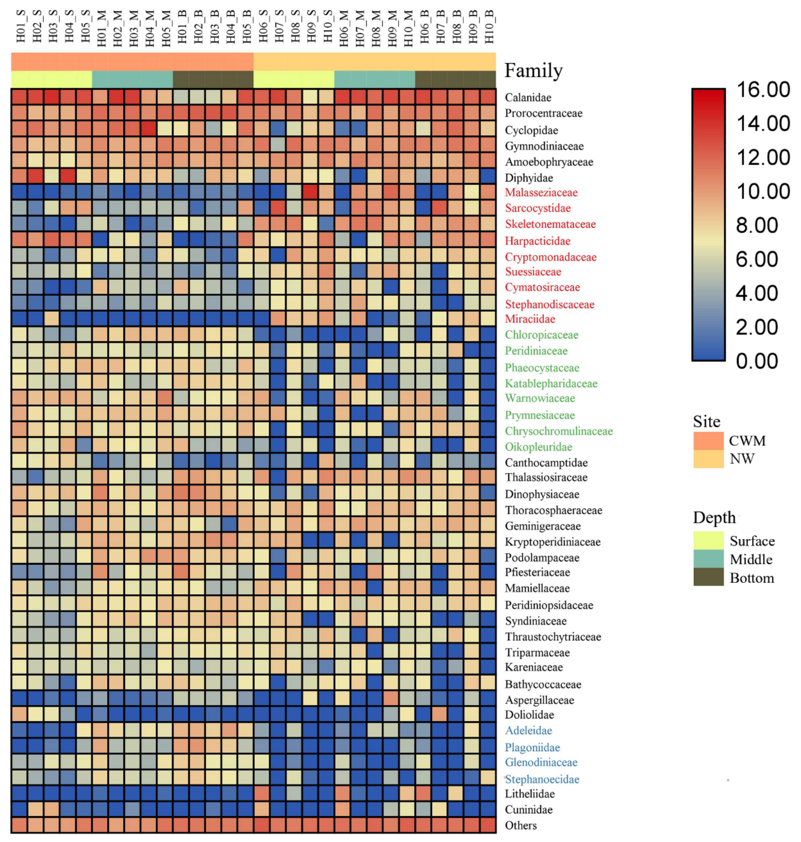 Diversity 13 00021 g004 Diversity 13 00021 g004