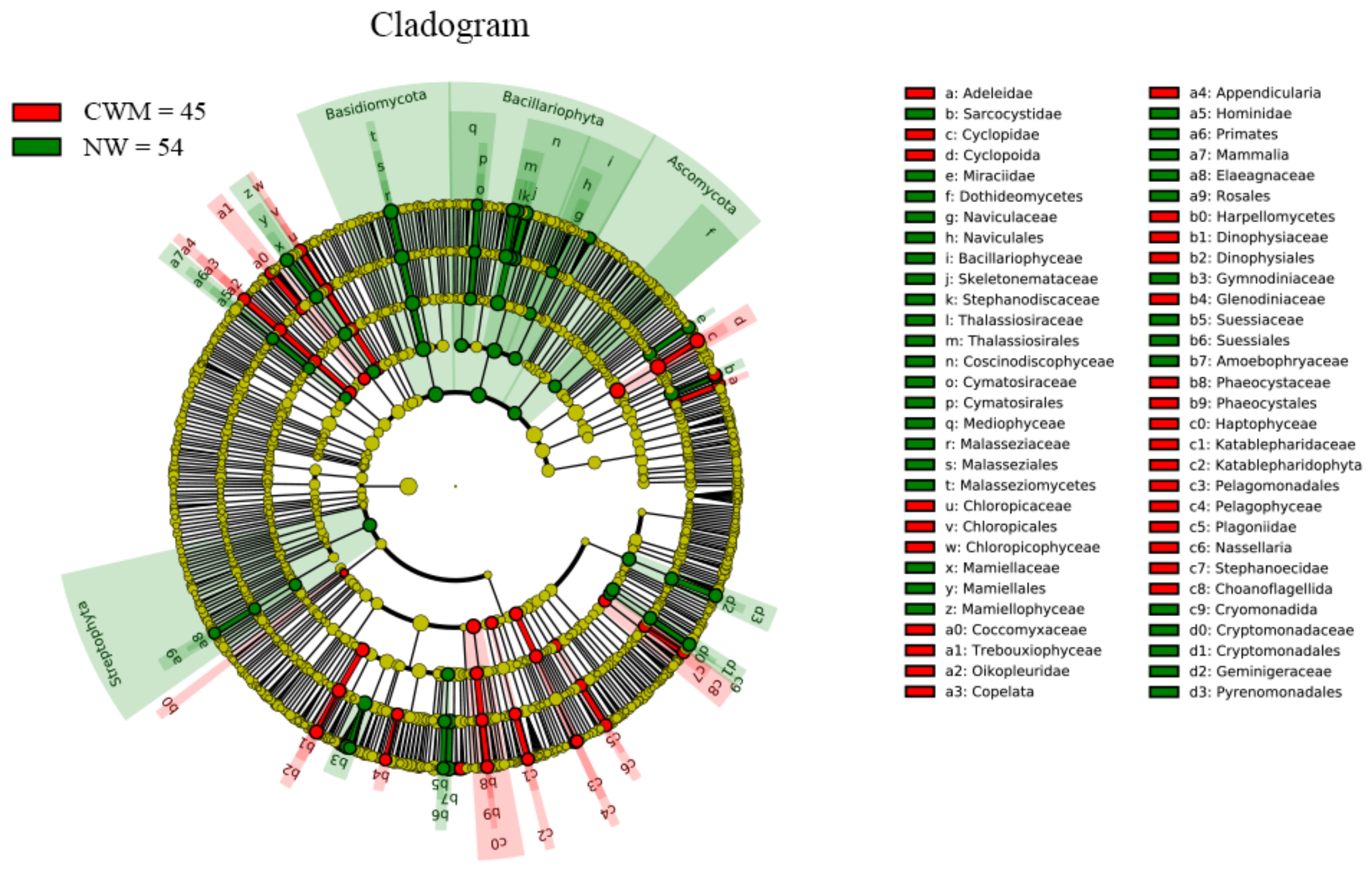 Diversity 13 00021 g007 Diversity 13 00021 g007