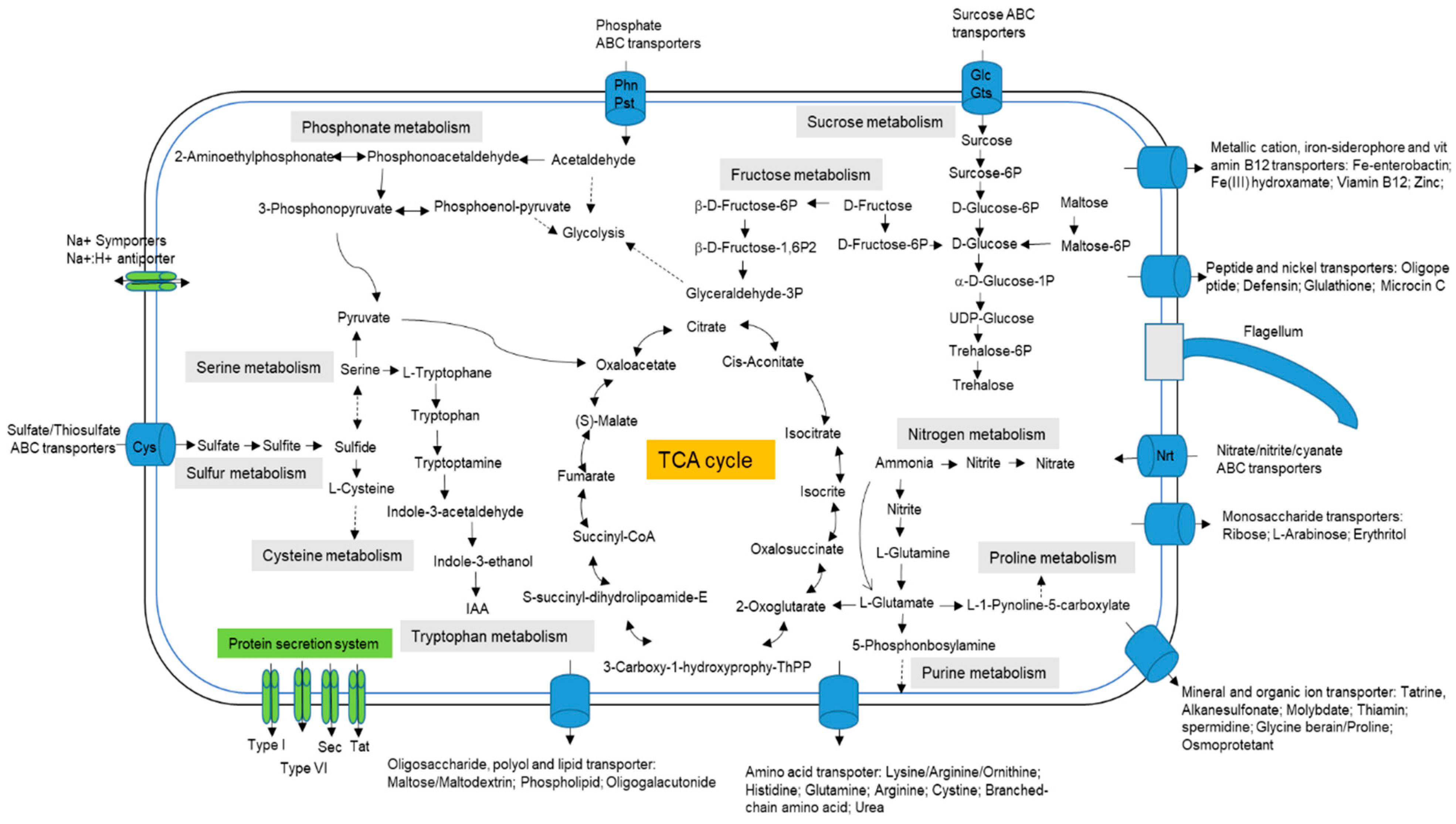 Diversity 13 00024 g002