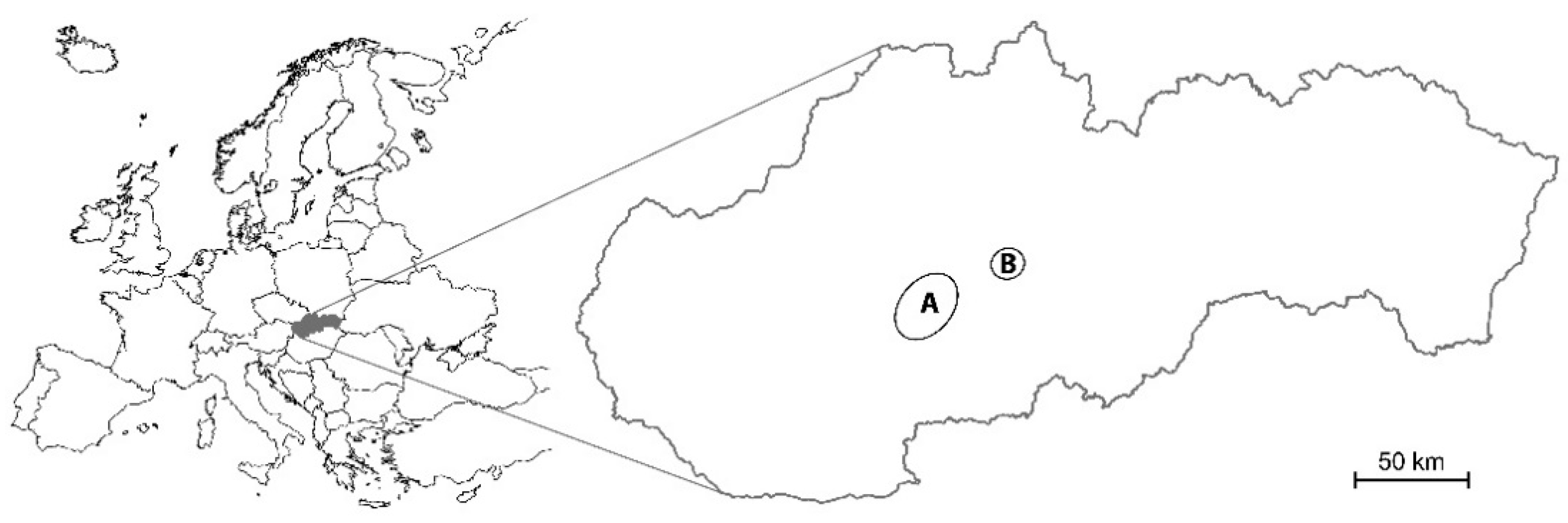 Diversity 13 00030 g001