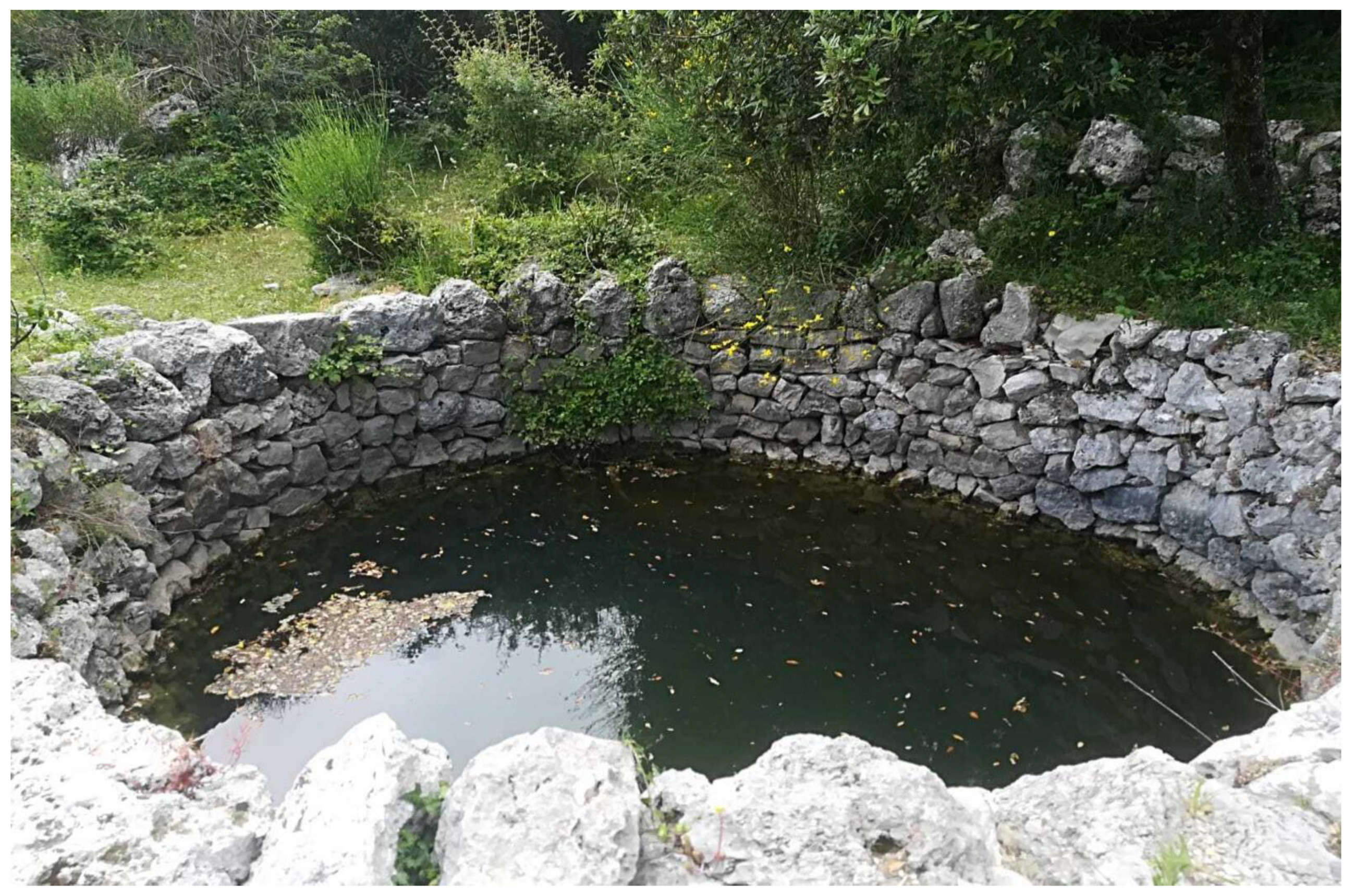 Diversity 13 00032 g002