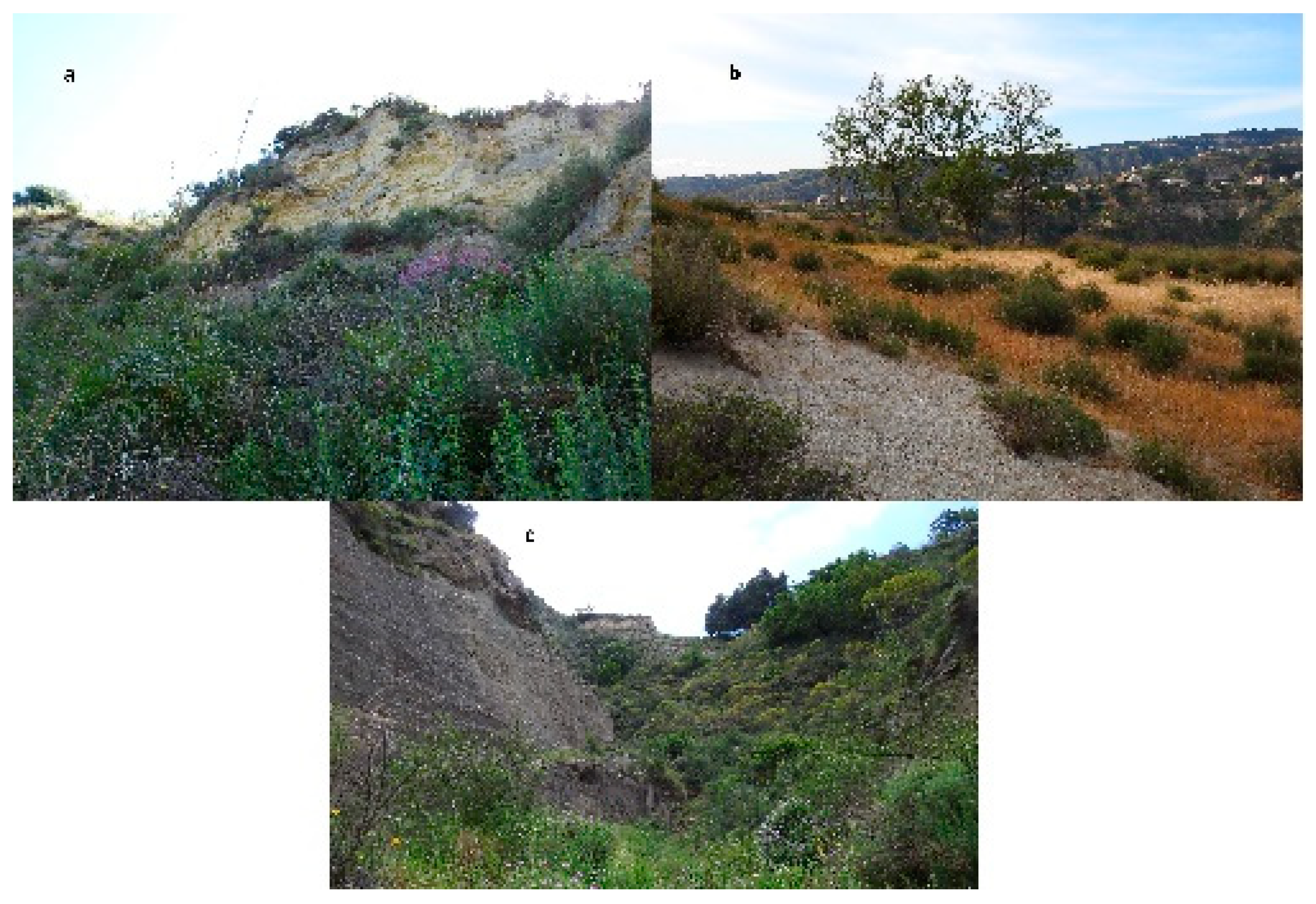 Diversity 13 00033 g002