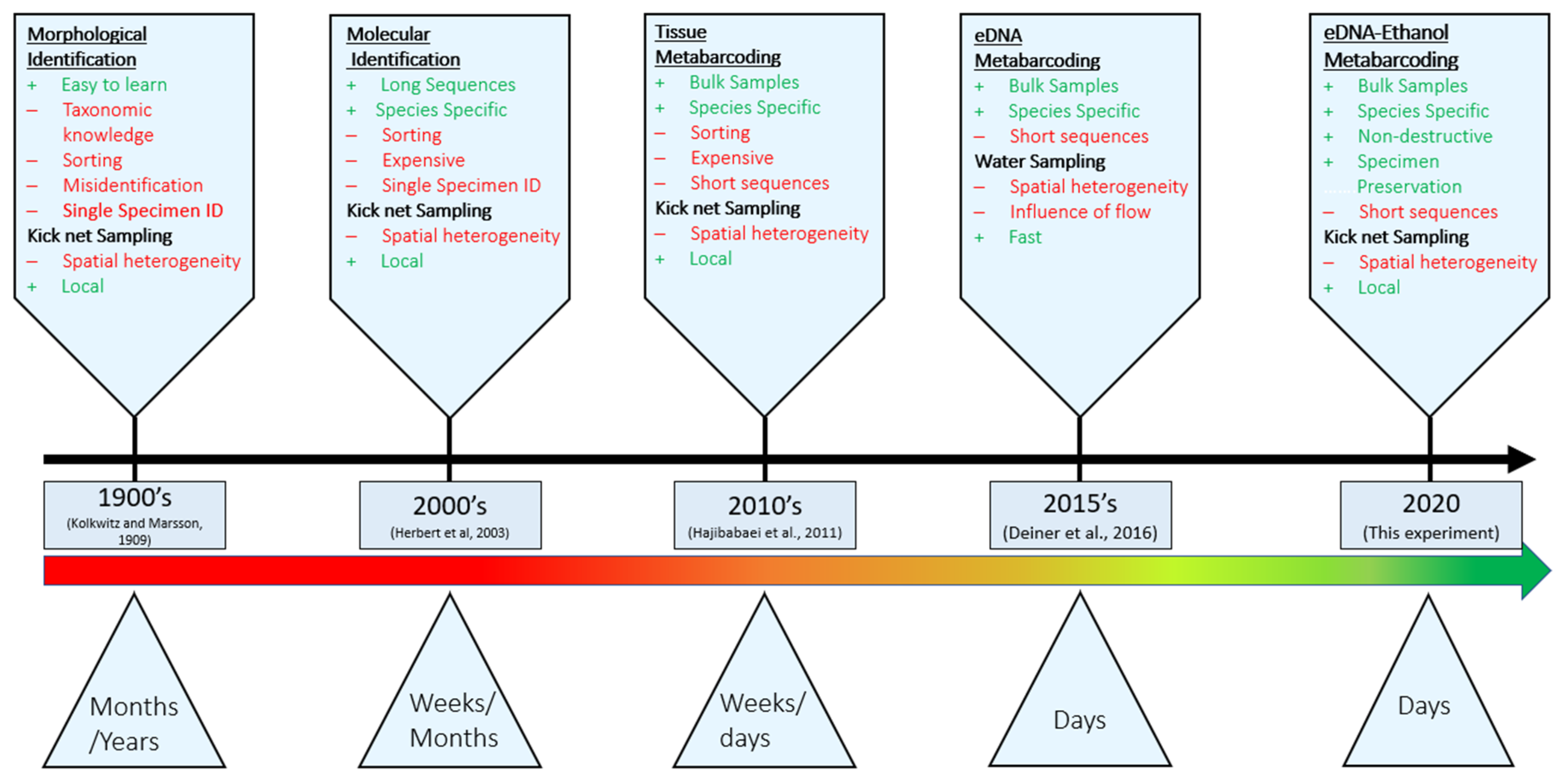 Diversity 13 00034 g001