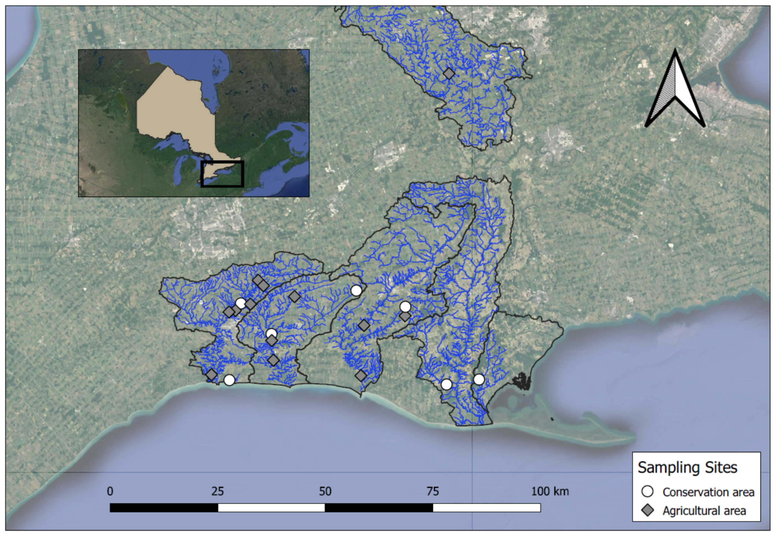 Diversity 13 00034 g002