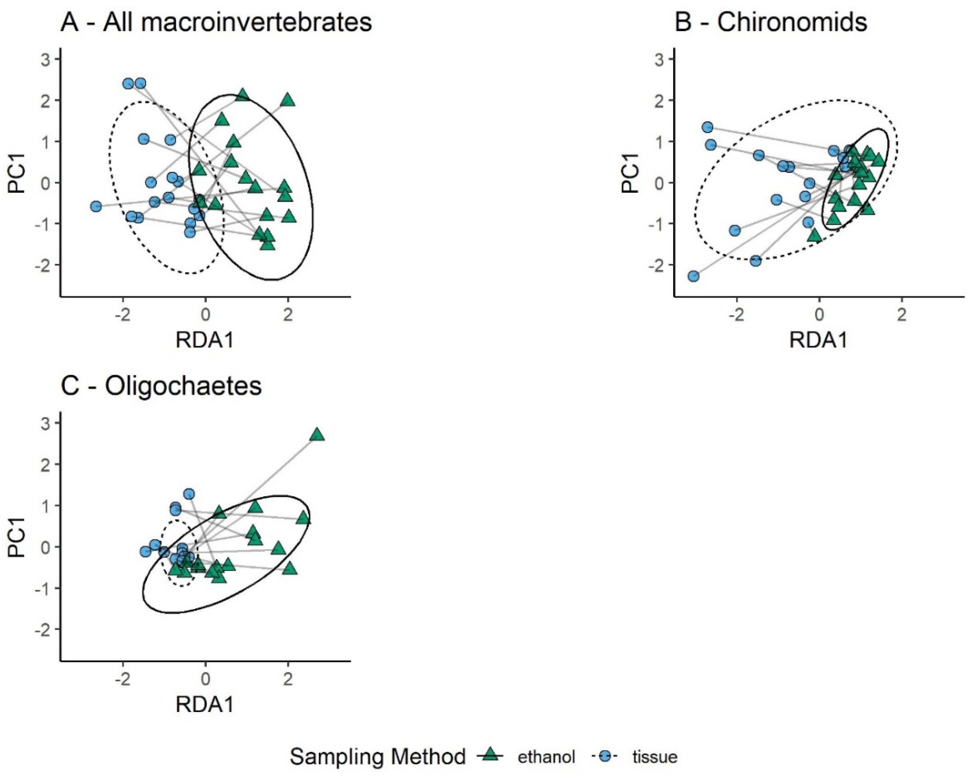 Diversity 13 00034 g005
