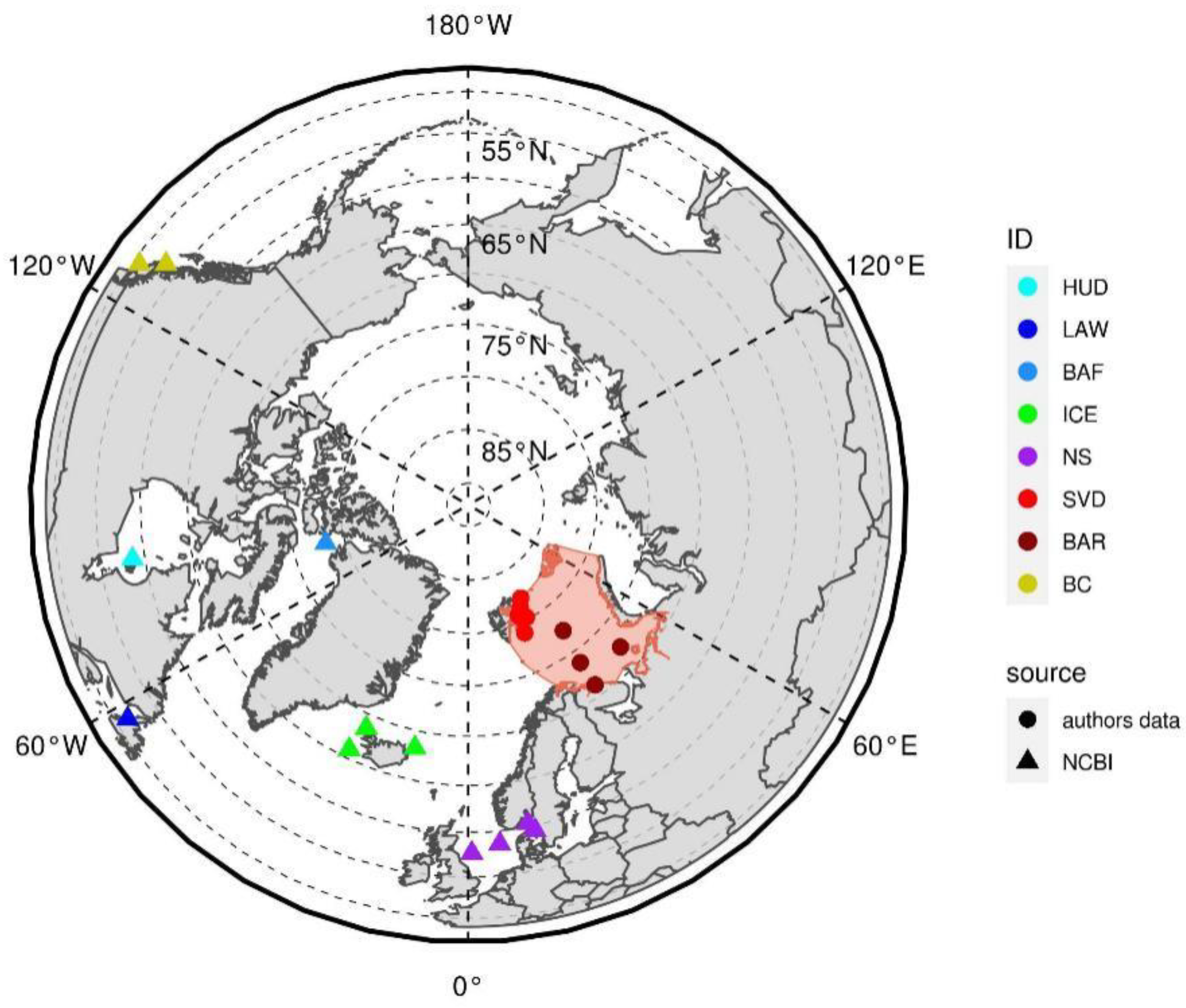 Diversity 13 00040 g001
